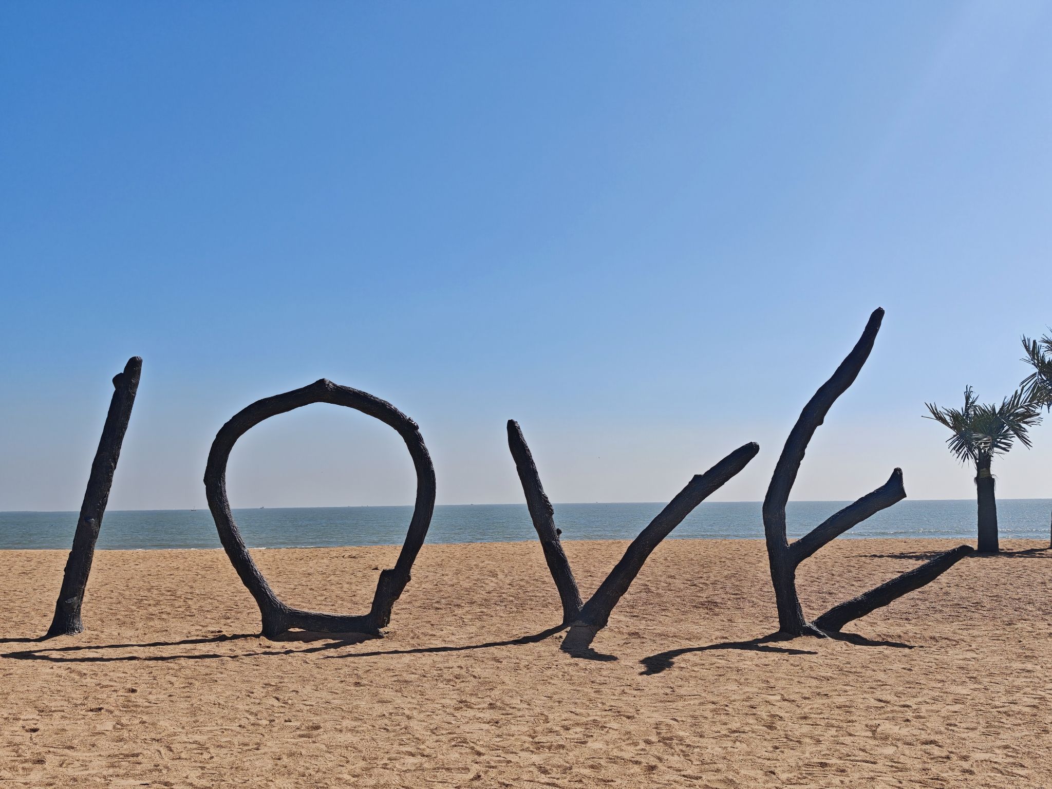 LOVE树杈景点图片