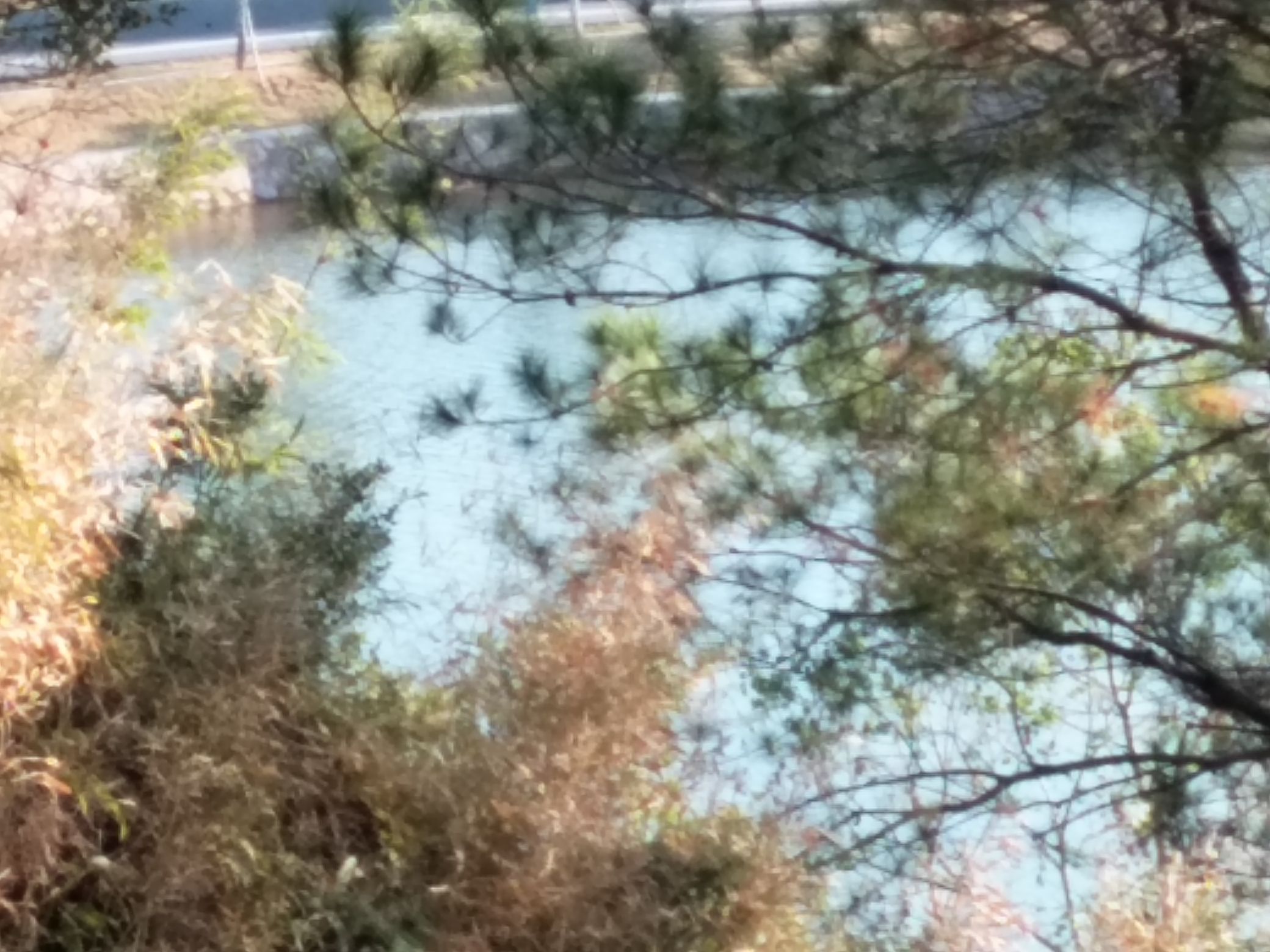 山水公园旅行图片 1