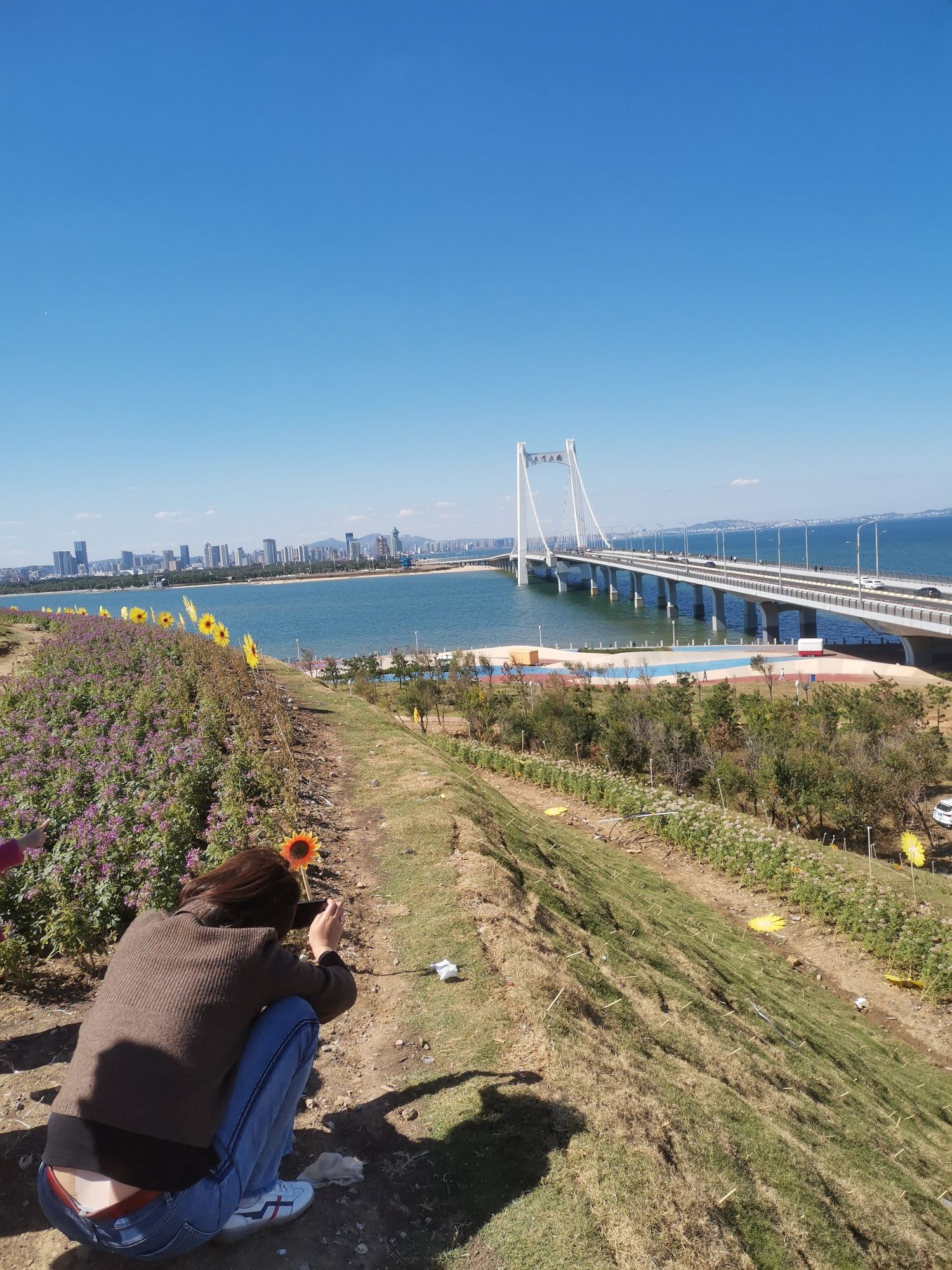烟台海滨飞翔公园旅行图片 3