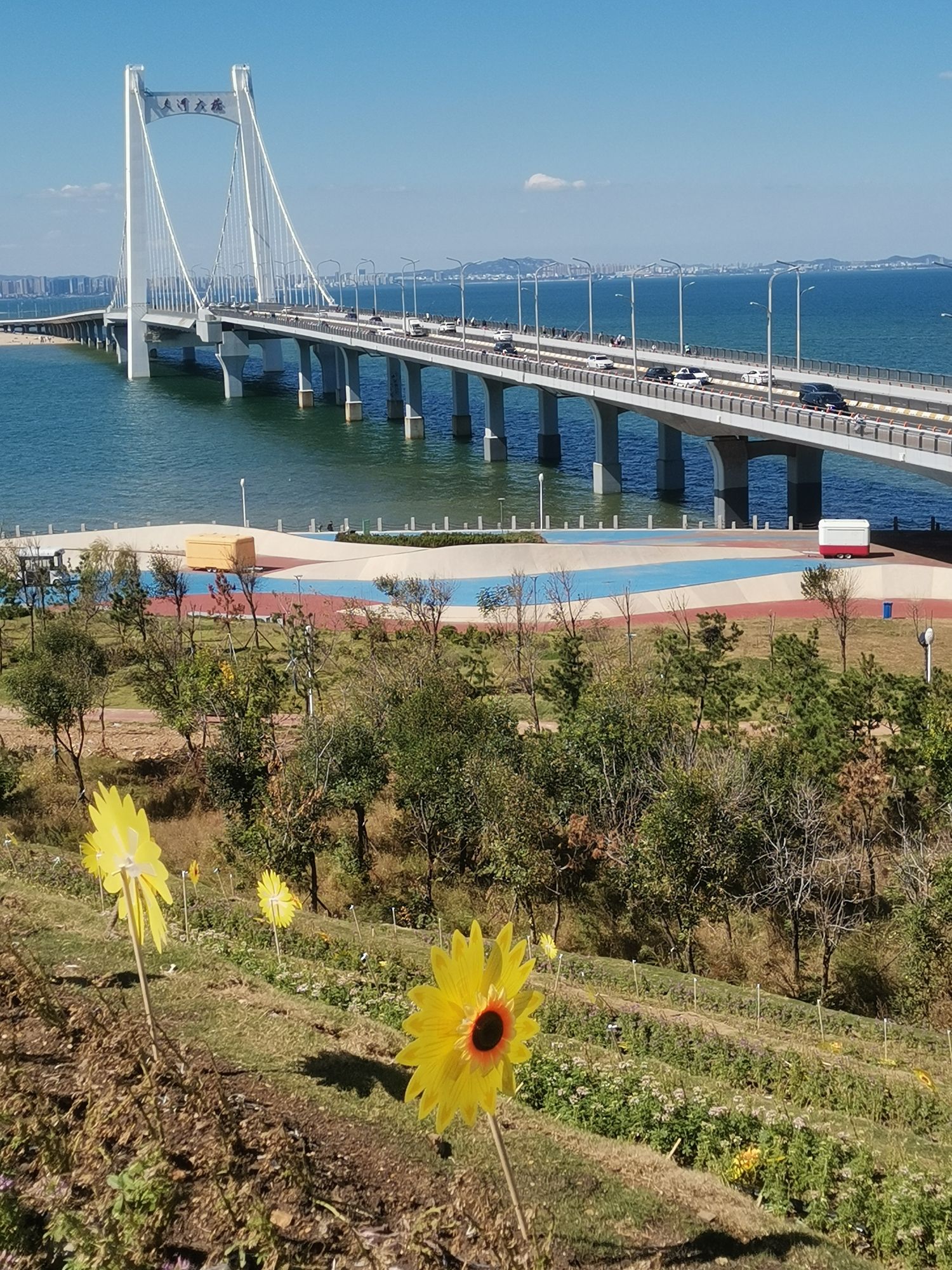 烟台海滨飞翔公园旅行图片 1
