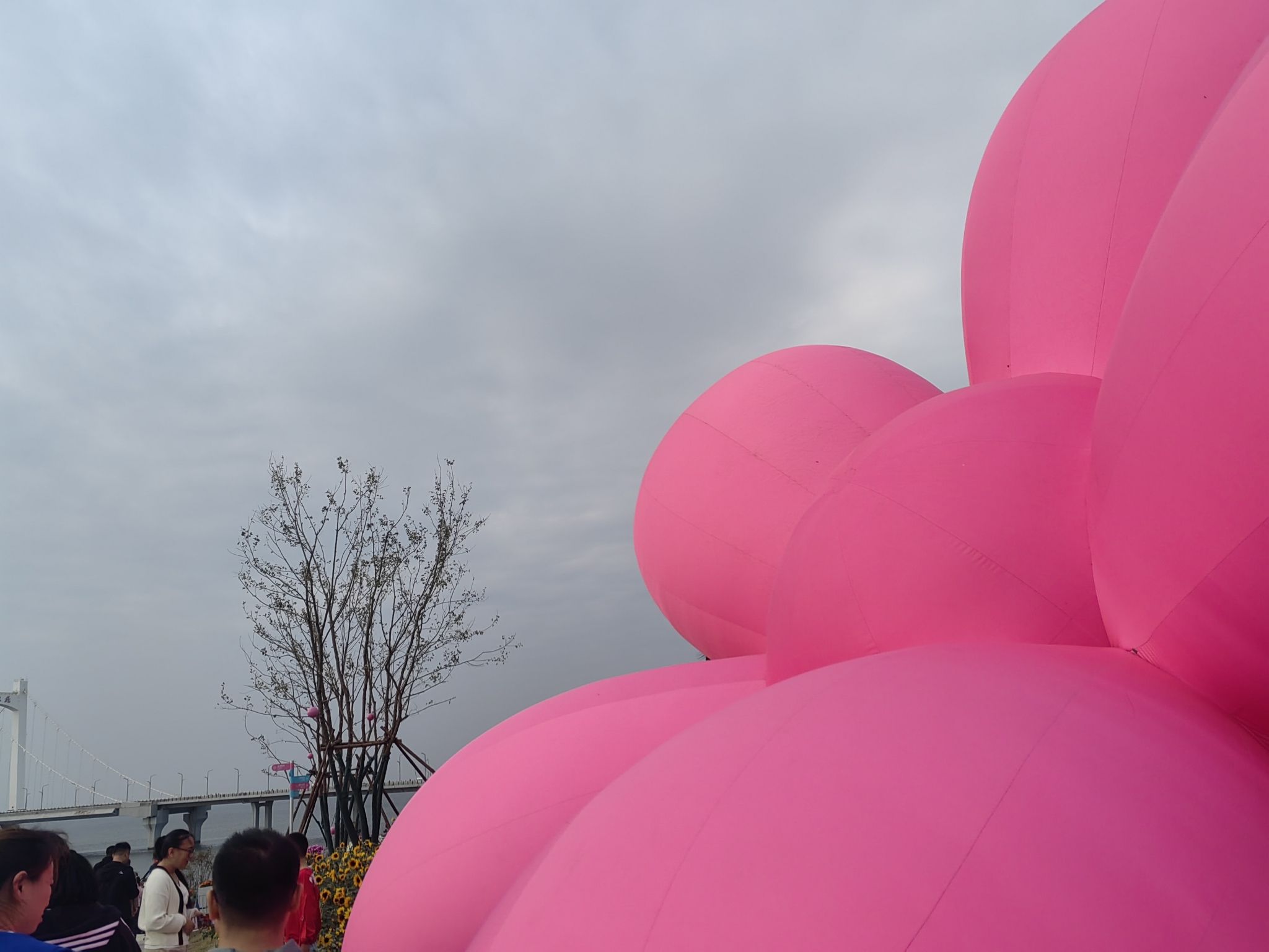 烟台海滨飞翔公园旅行图片 3