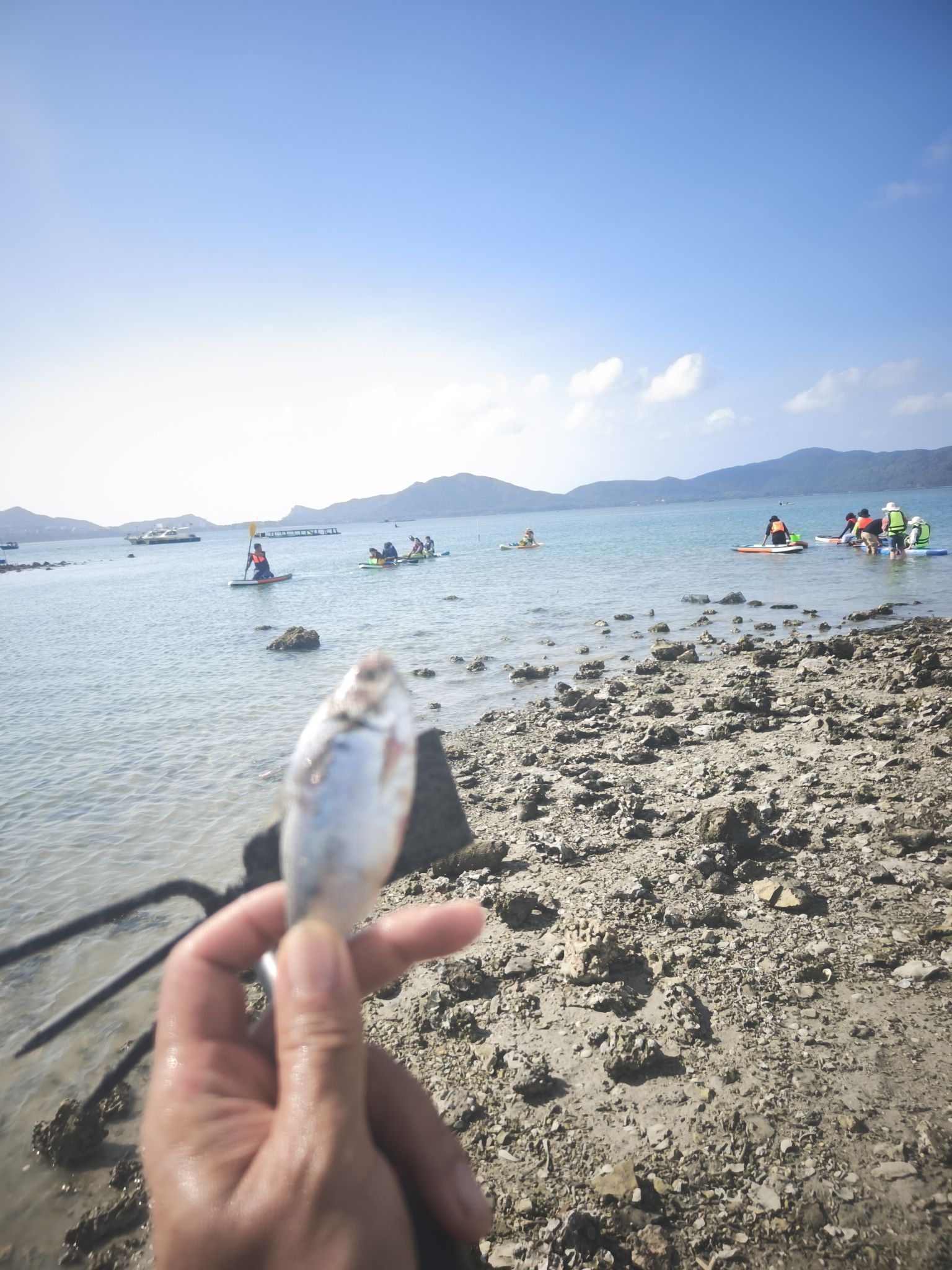 寻宝赶海