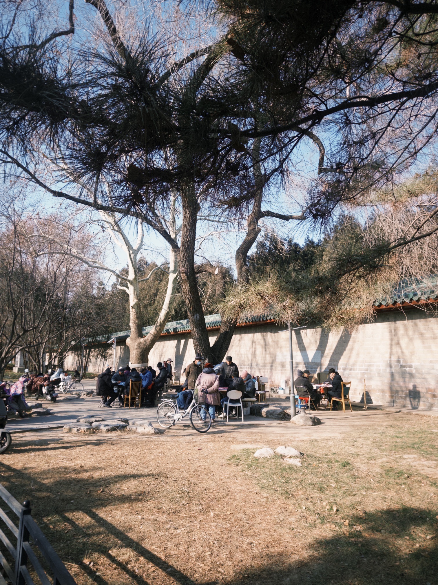 地坛的海旅行图片 3