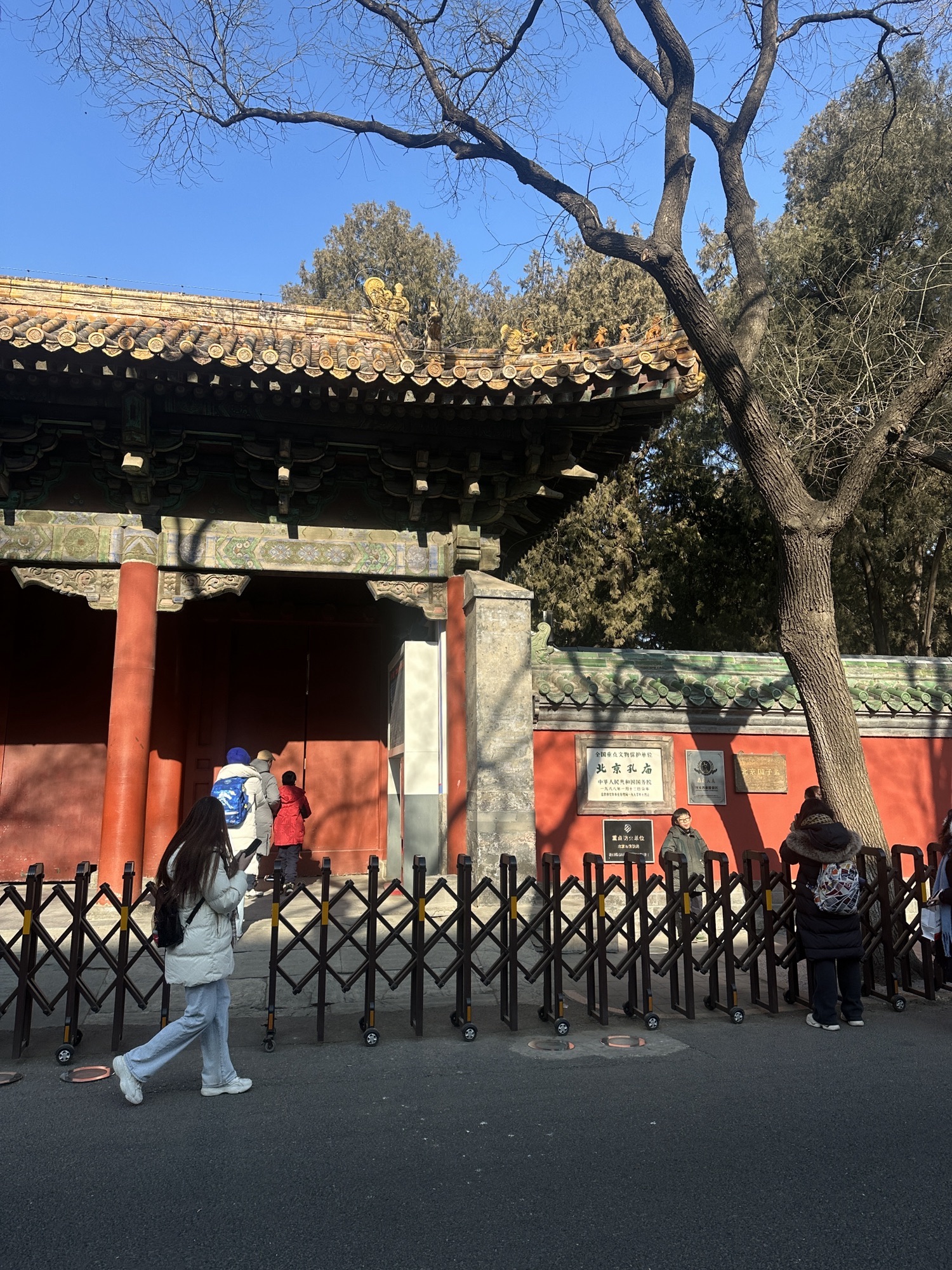 地坛的海旅行图片 1