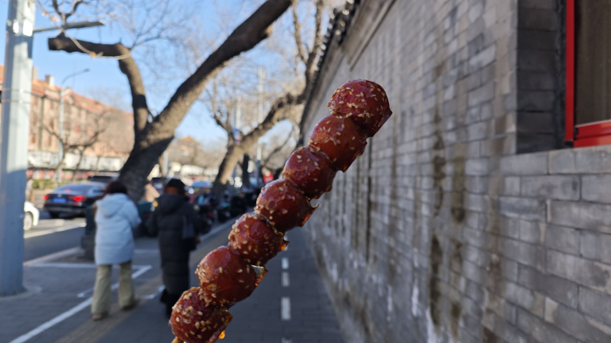 地坛的海旅行图片 3