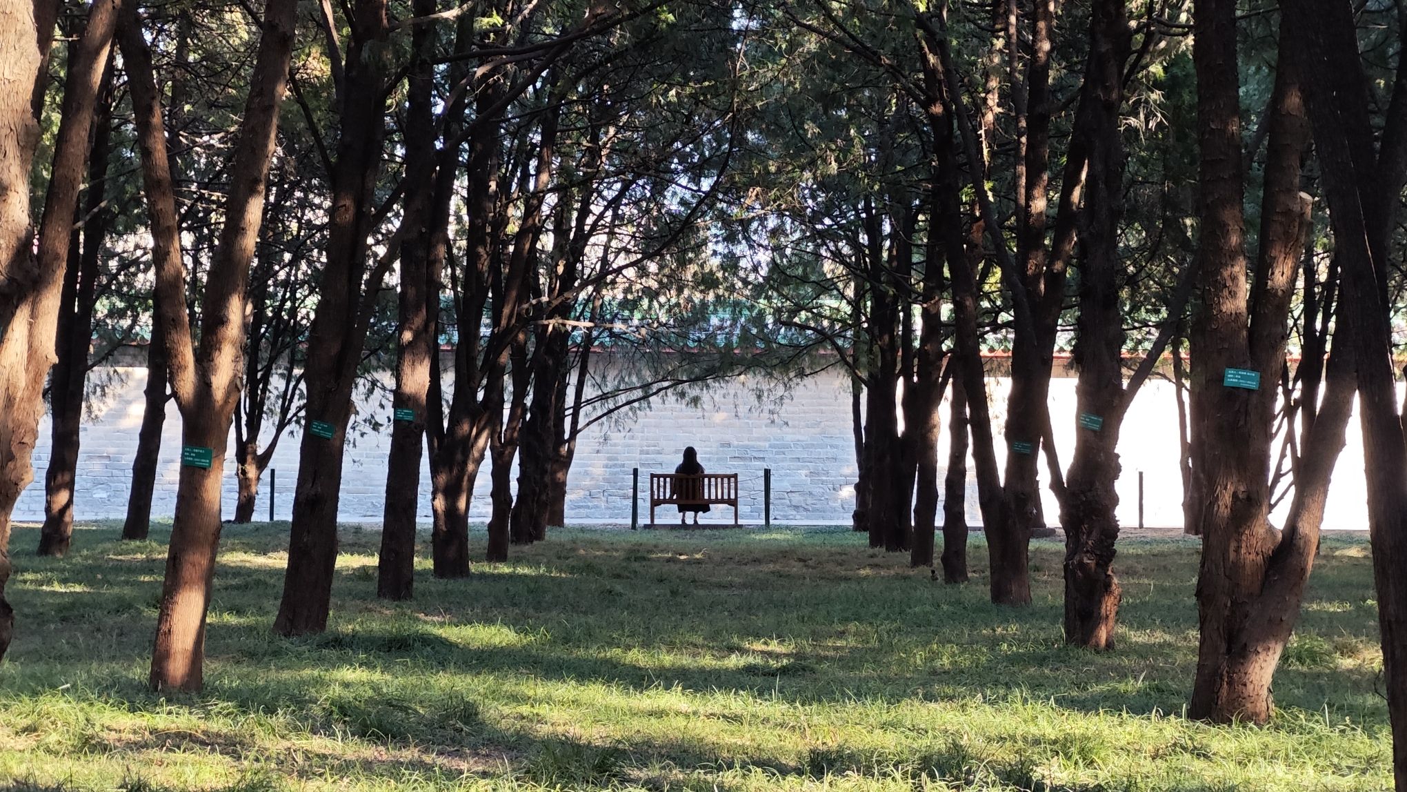 地坛的海旅行图片 1