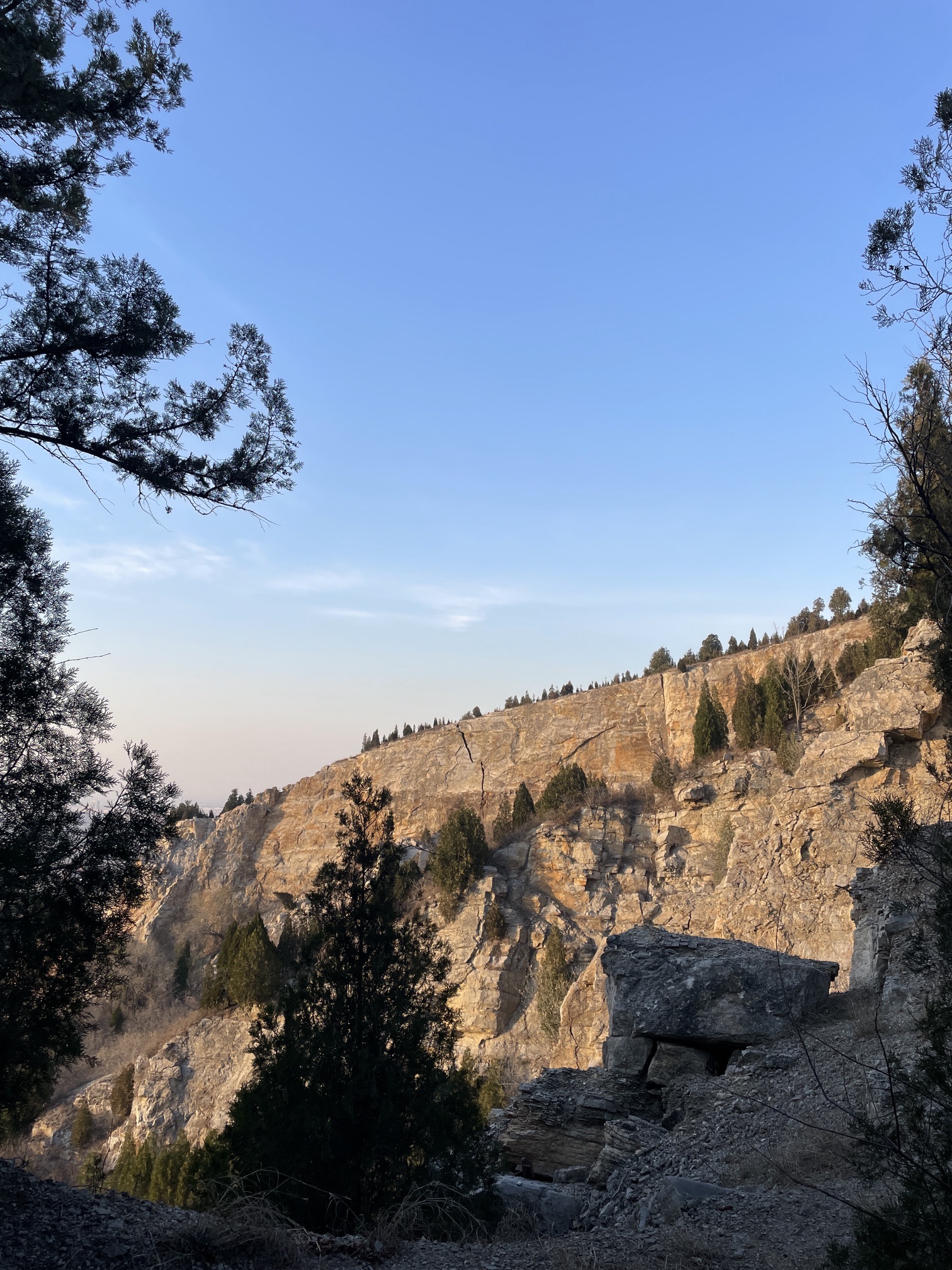 首阳山森林公园旅行图片 3