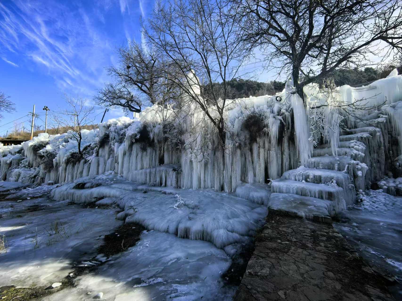 网红豹旅行图片 1