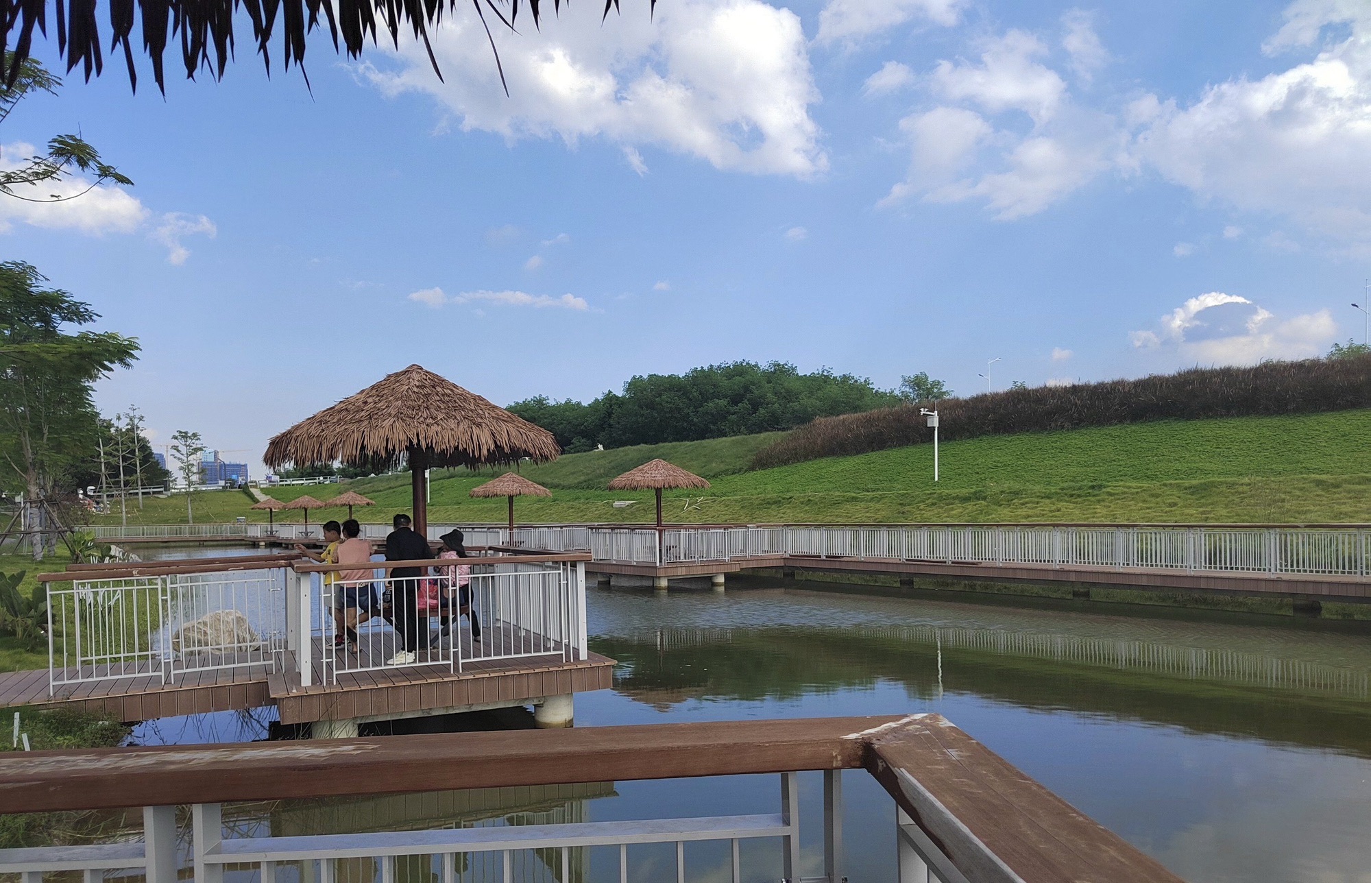漳州市高新区南江滨生态园旅行图片 3
