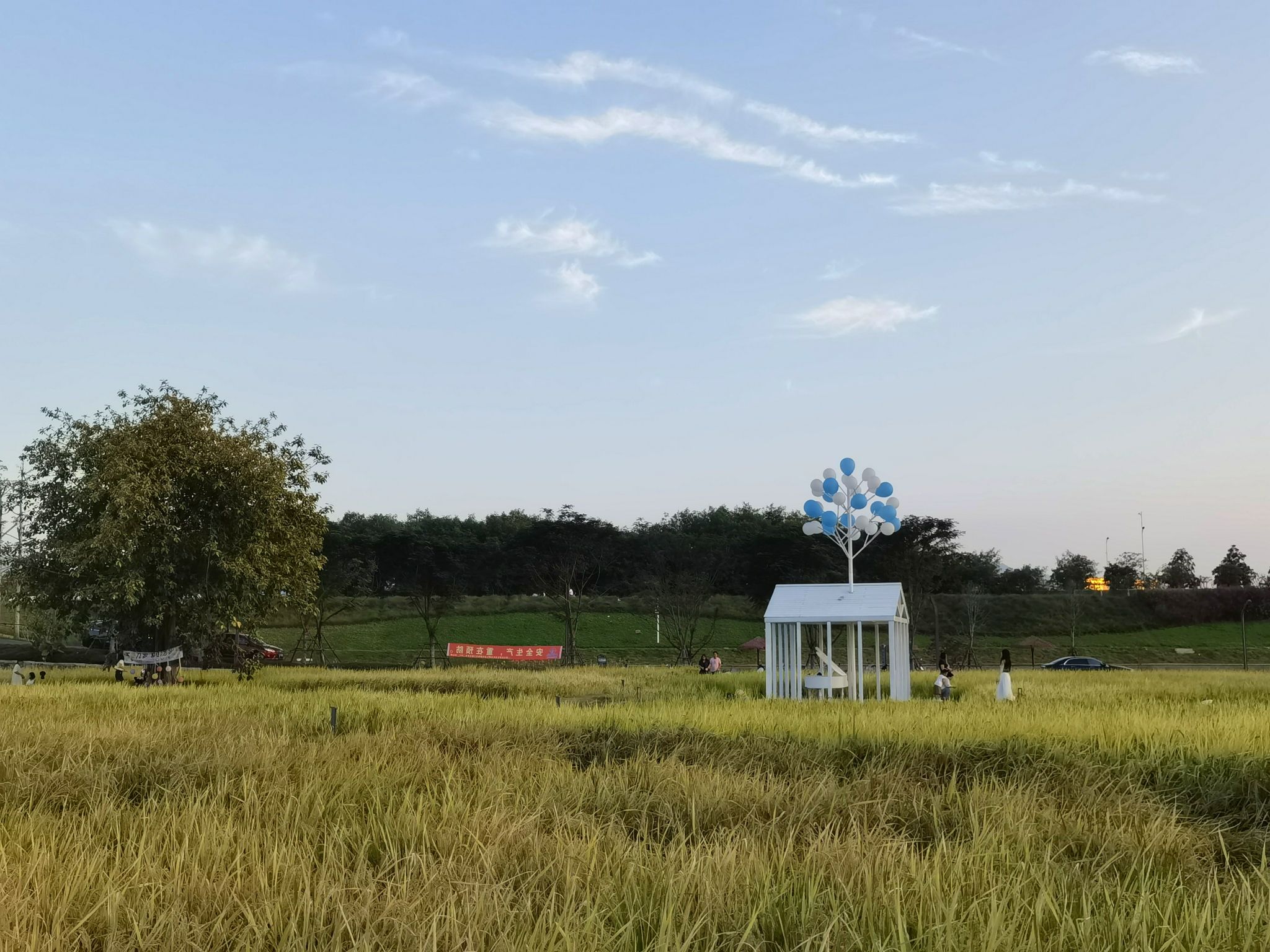 漳州市高新区南江滨生态园旅行图片 1