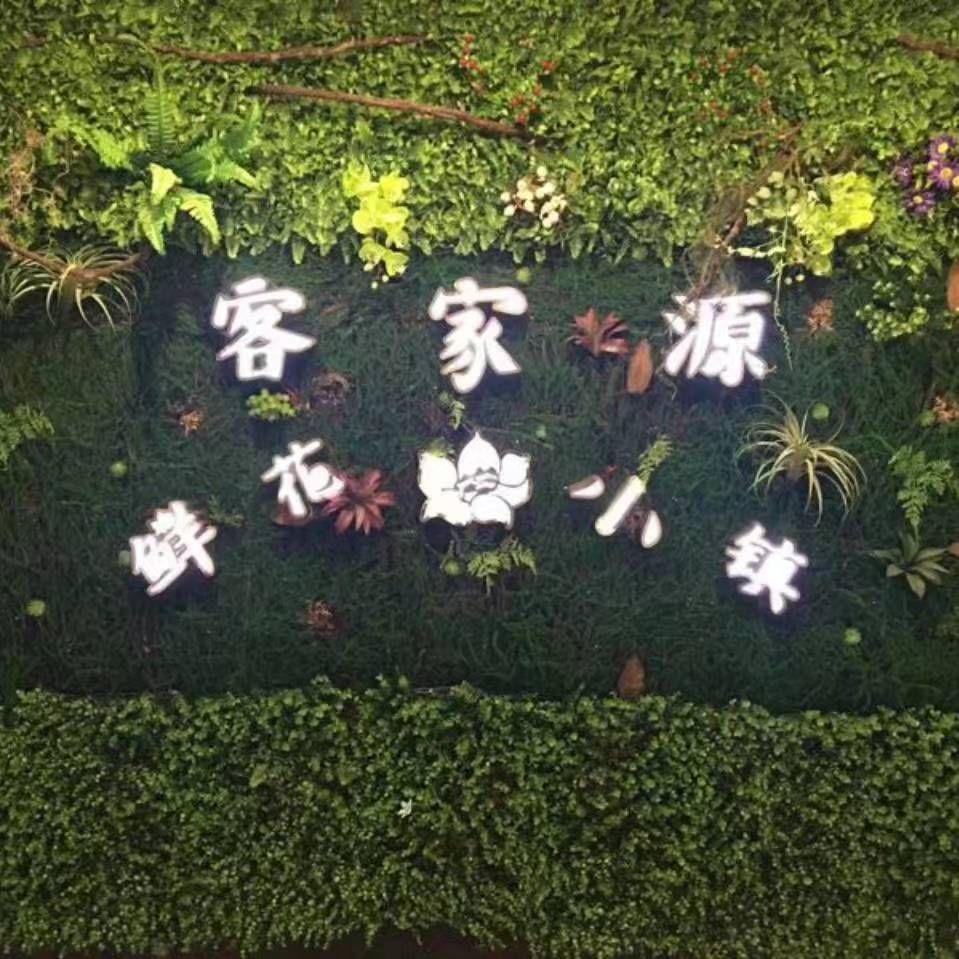 龙南客家源鲜花小镇旅行图片 1