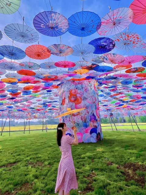 菊艺花海探险王国旅行图片 2