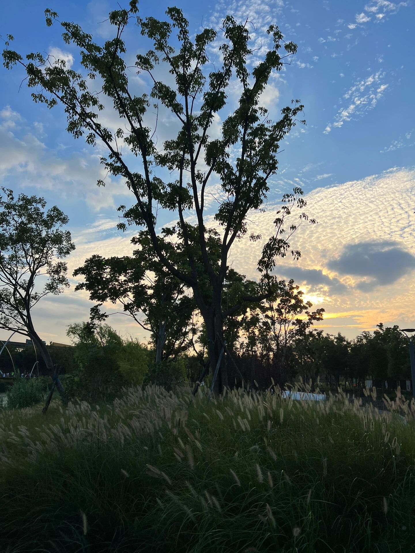 蟠龙湾生态旅游区旅行图片 3
