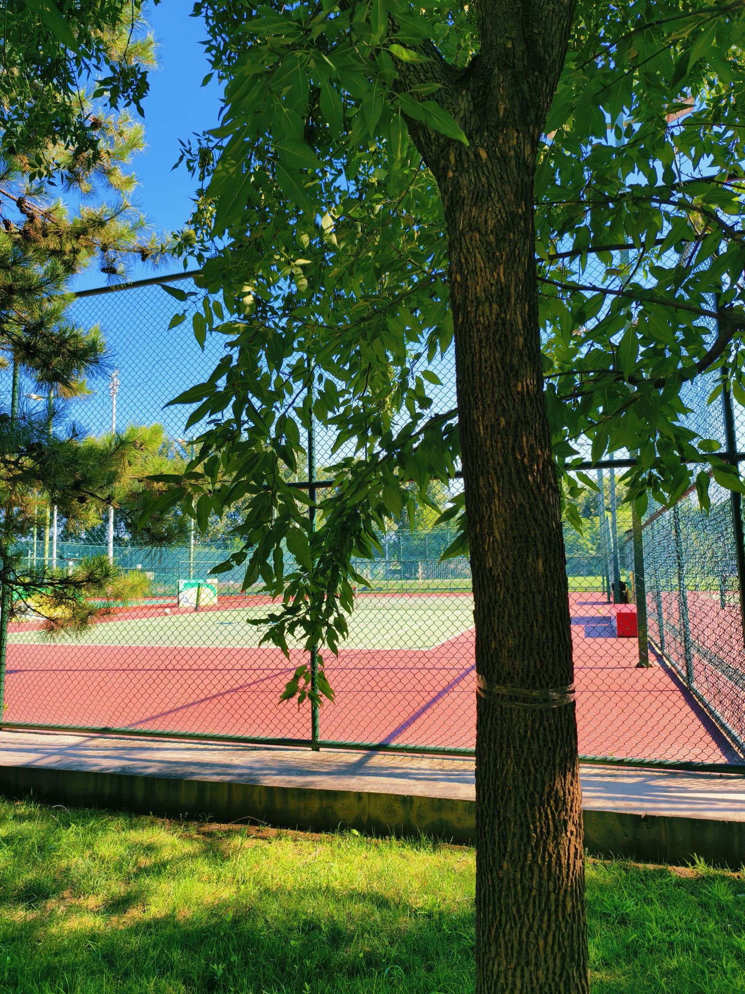 场地封面-海淀公园6号网球场