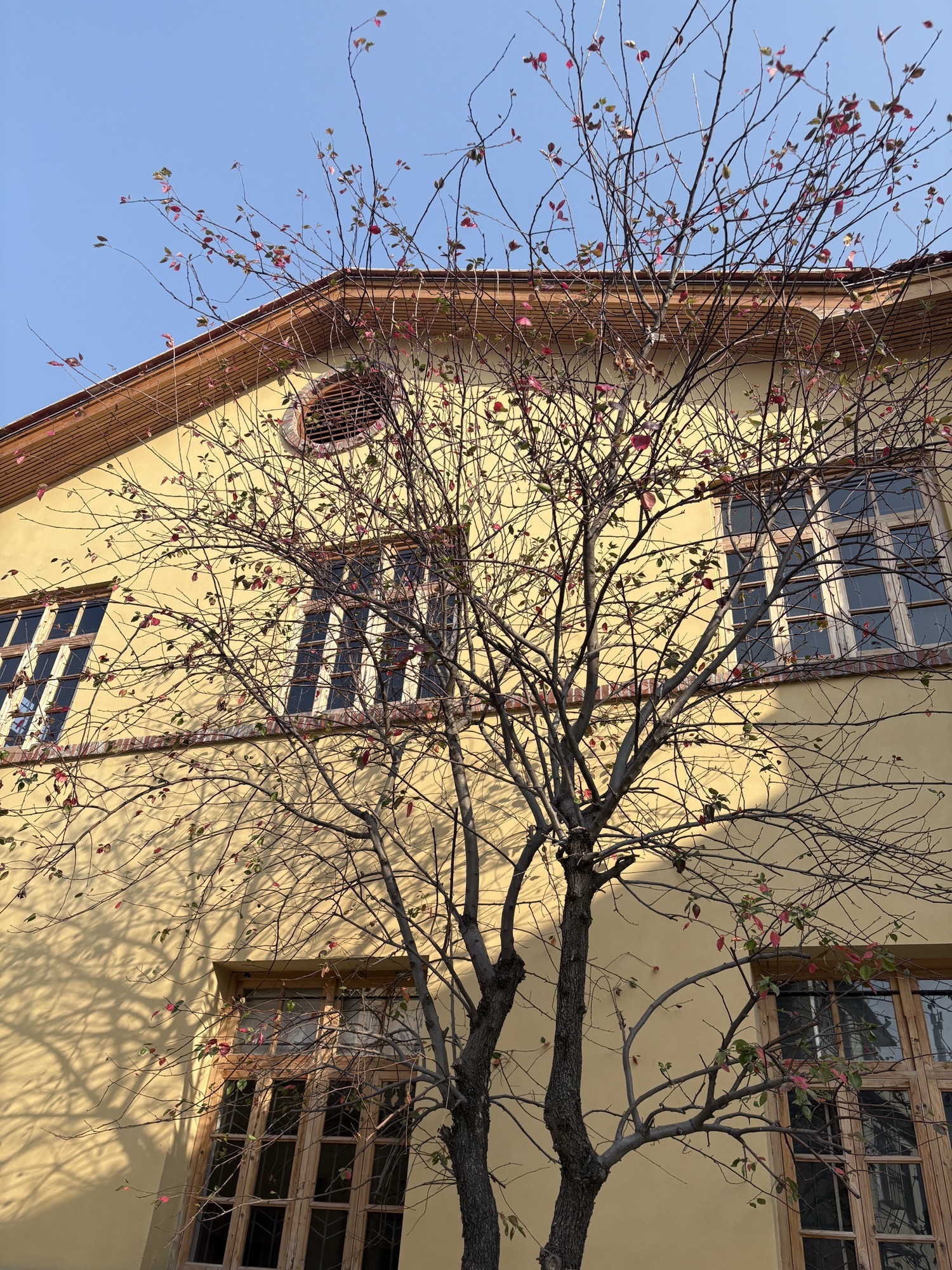 泉州市工艺美术厂旧大院旅行图片 1