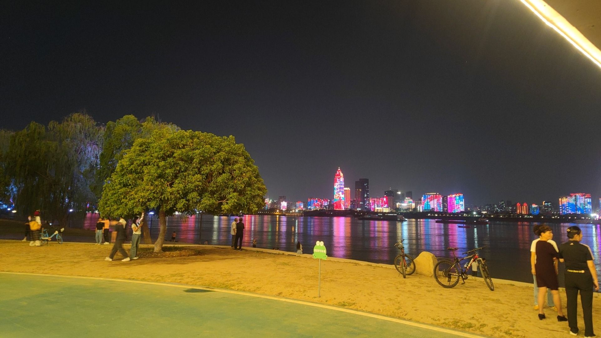 帽子树旅行图片 3