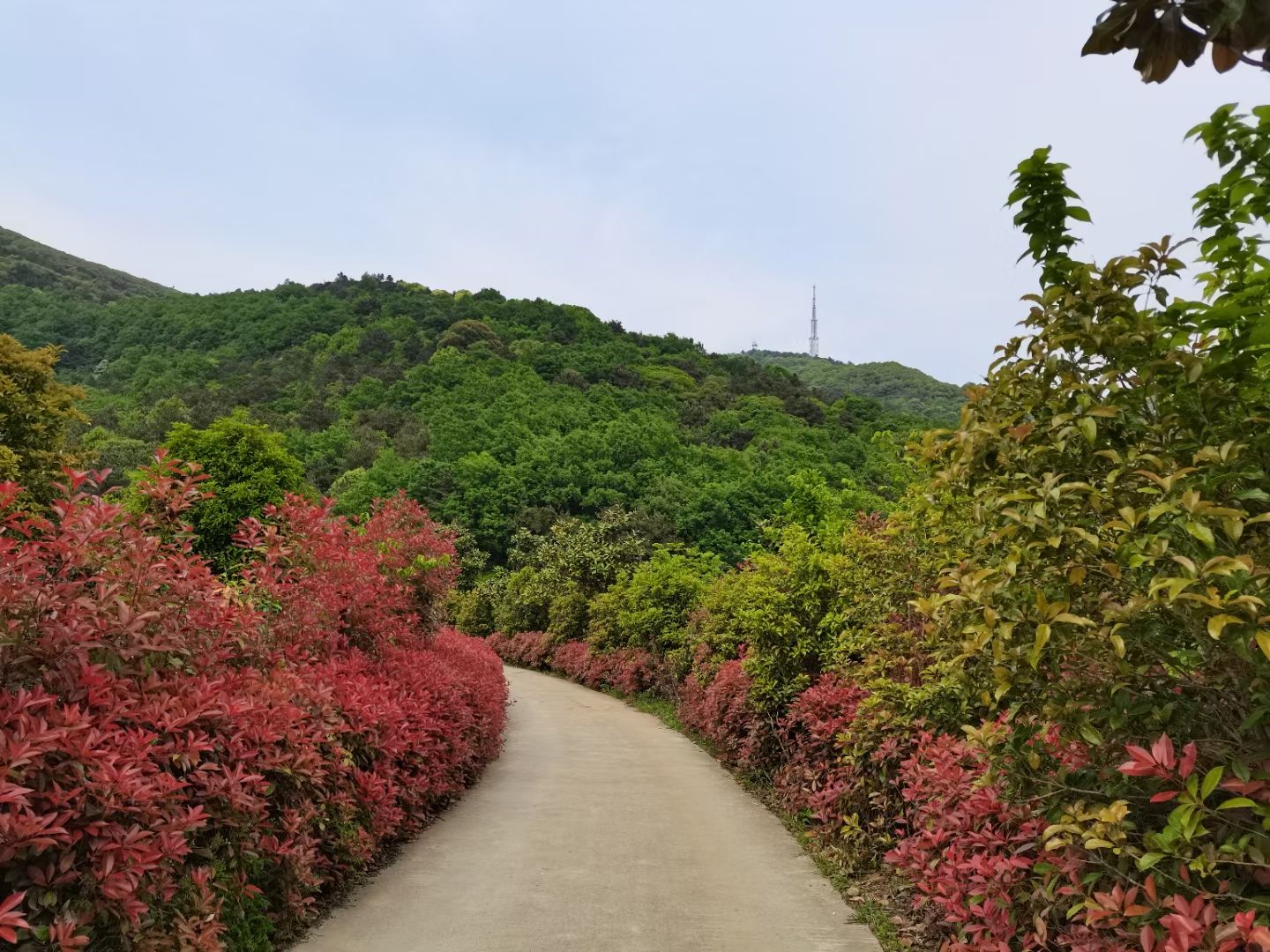 无锡小九寨旅行图片 3