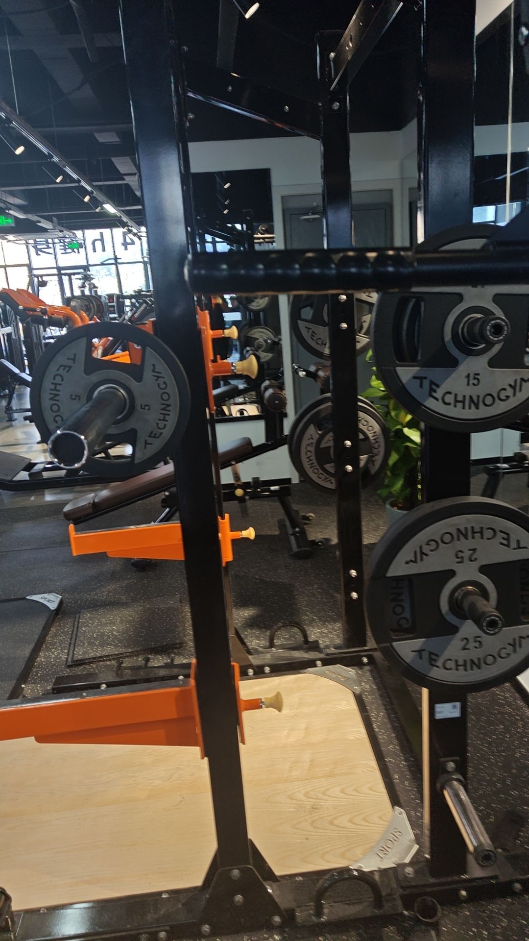 健身树Fitness(龙山大厦店)