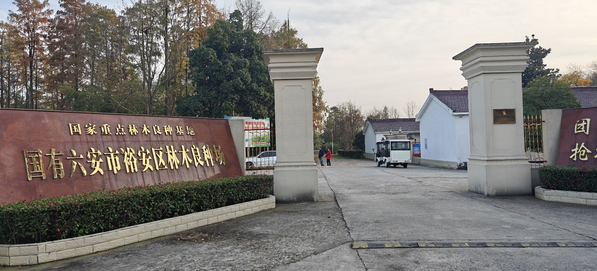 横河岭森林公园旅行图片 3