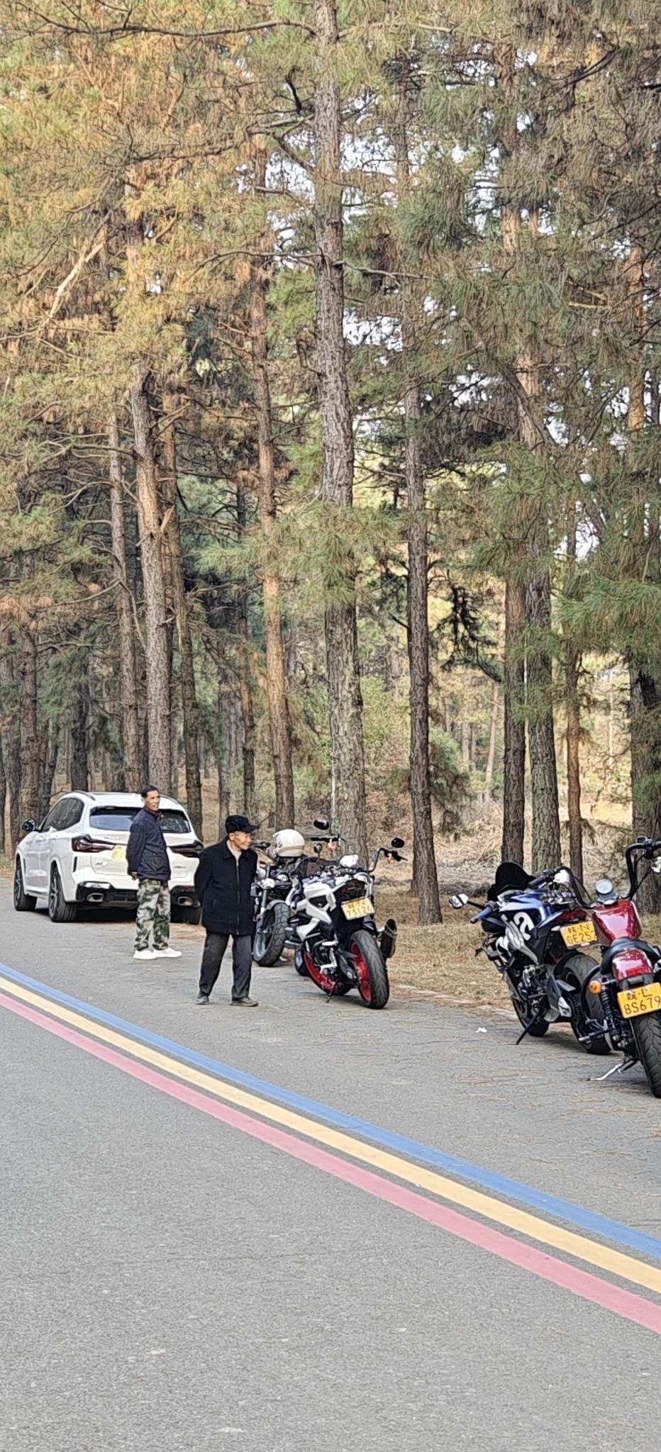 横河岭森林公园旅行图片 2
