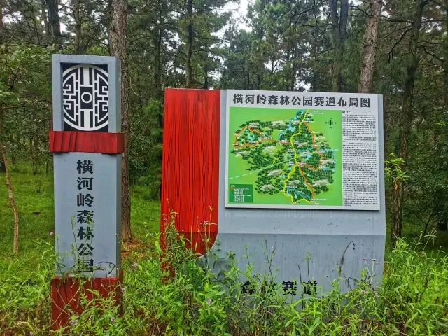 横河岭森林公园旅行图片 1