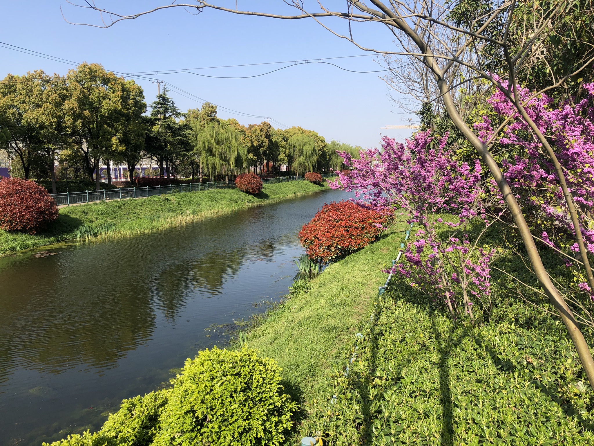 美兰西湖公园