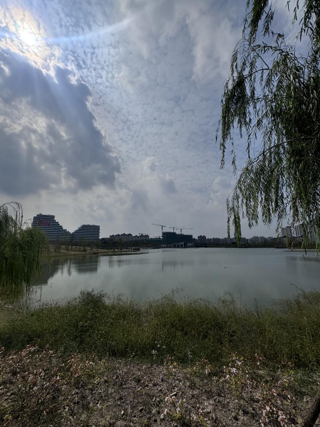 美兰西湖公园旅行图片 1