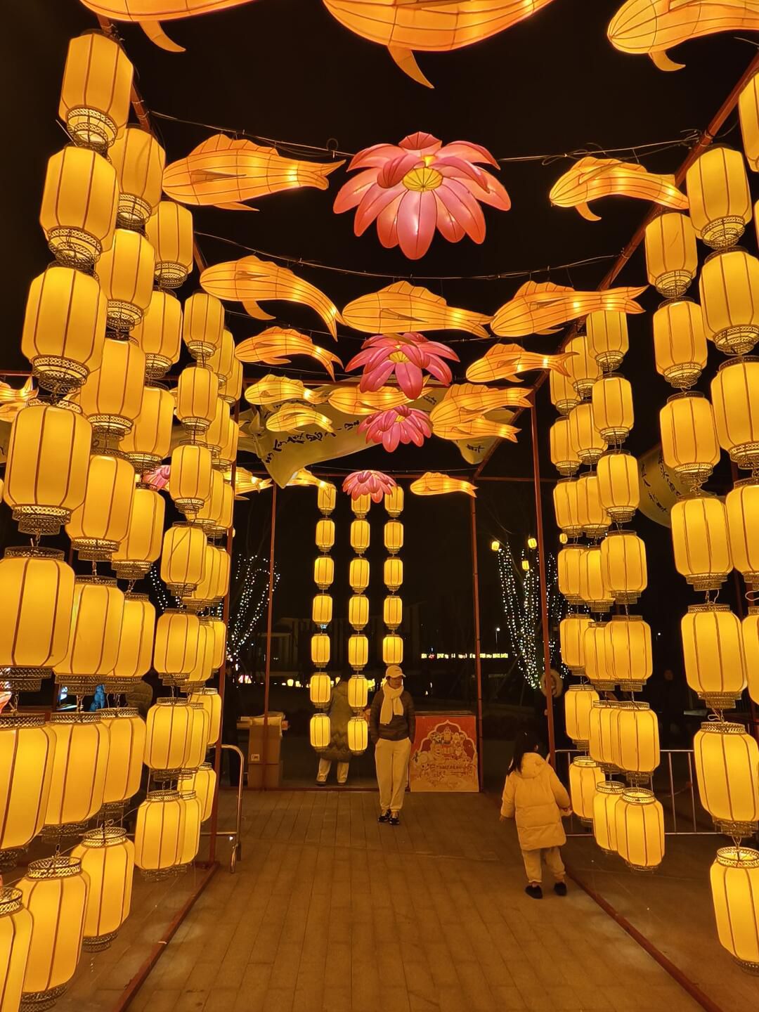 美兰西湖公园旅行图片 2