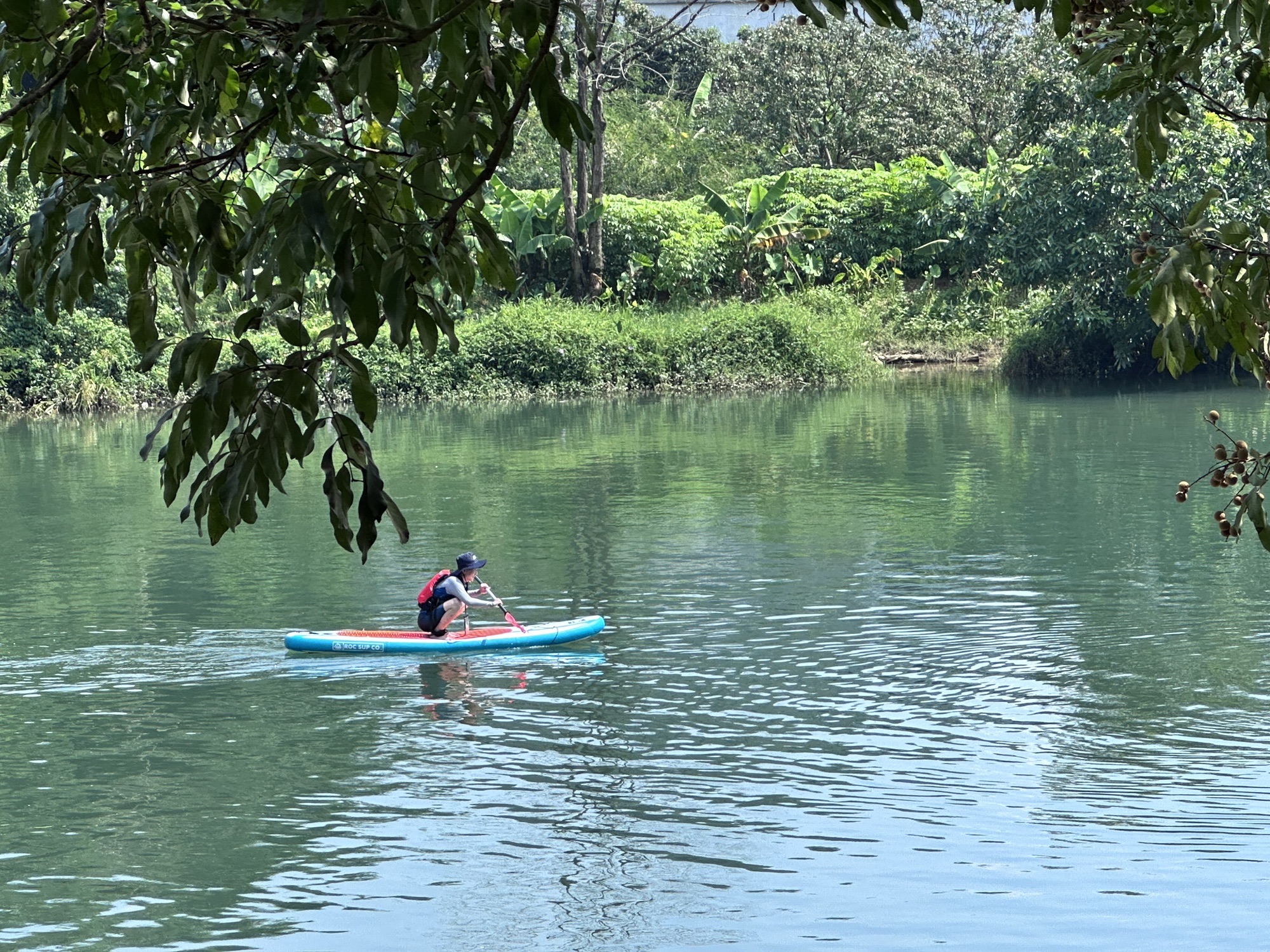 场地封面-芒果树桨板露营基地