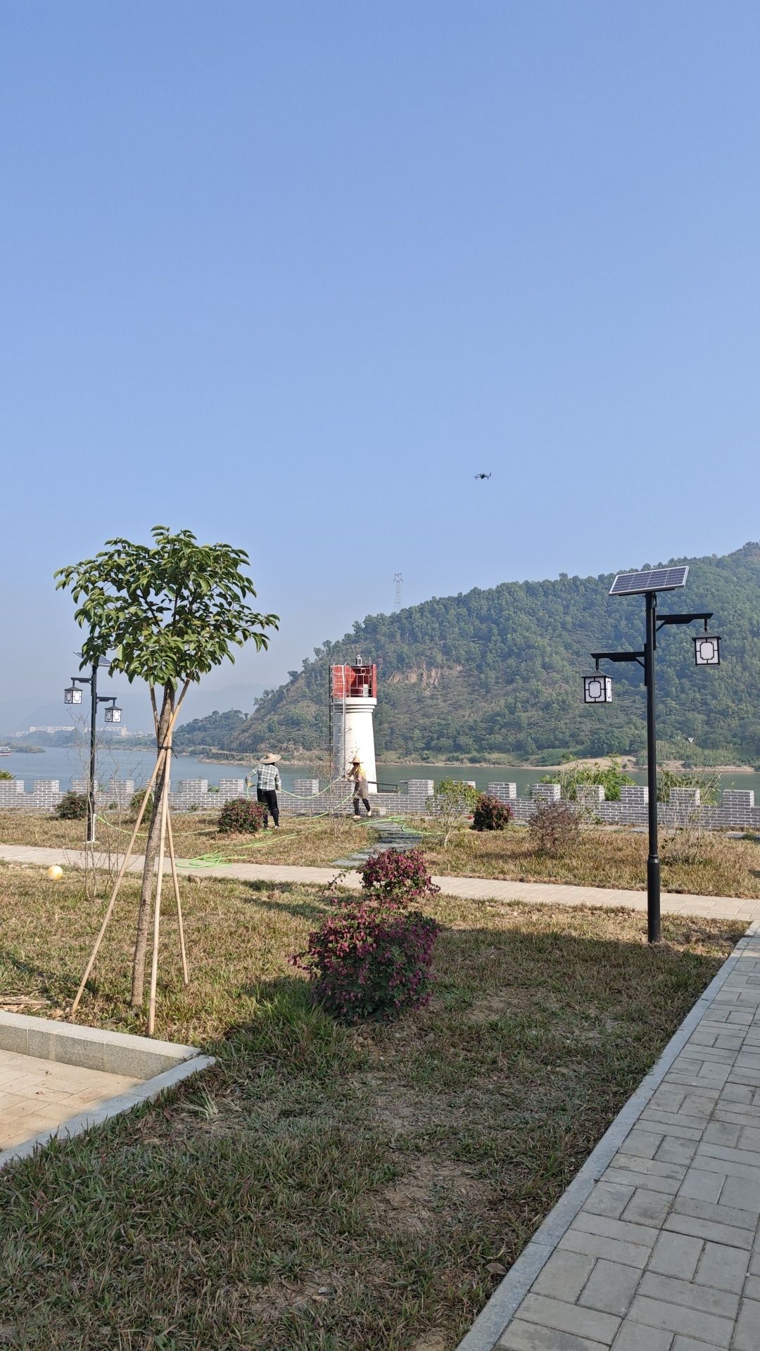 大湾公园旅行图片 2