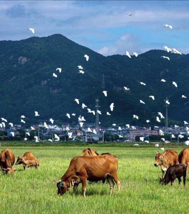 小赛里木湖旅行图片 1