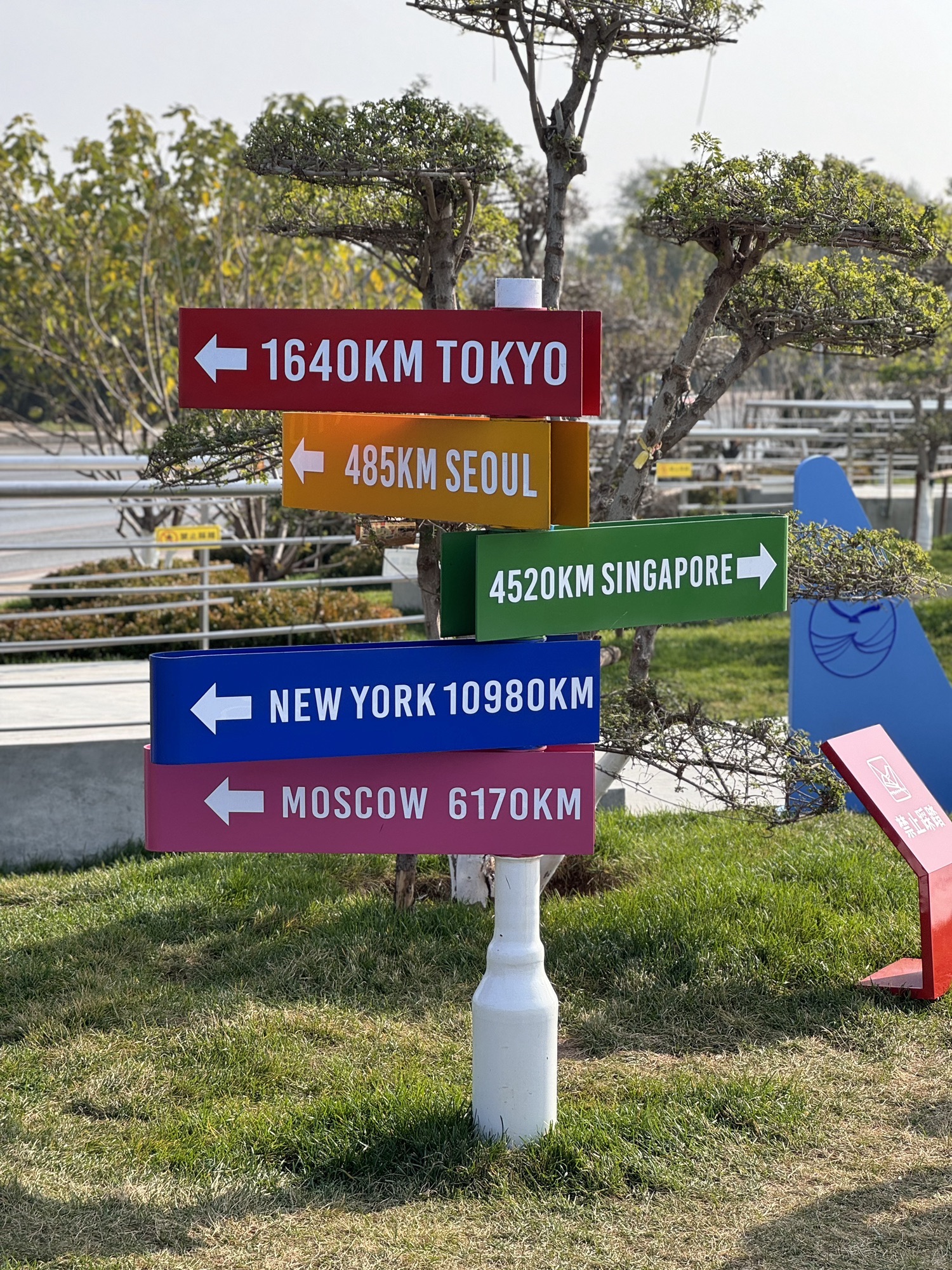 仰望公园旅行图片 2