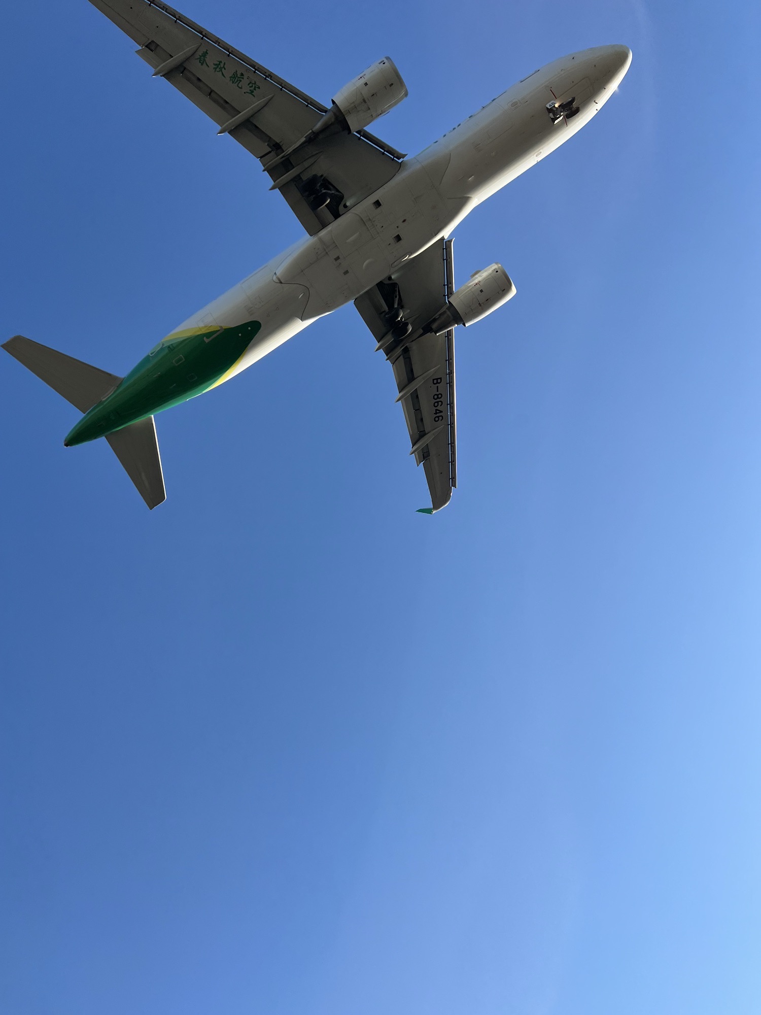 仰望公园旅行图片 1