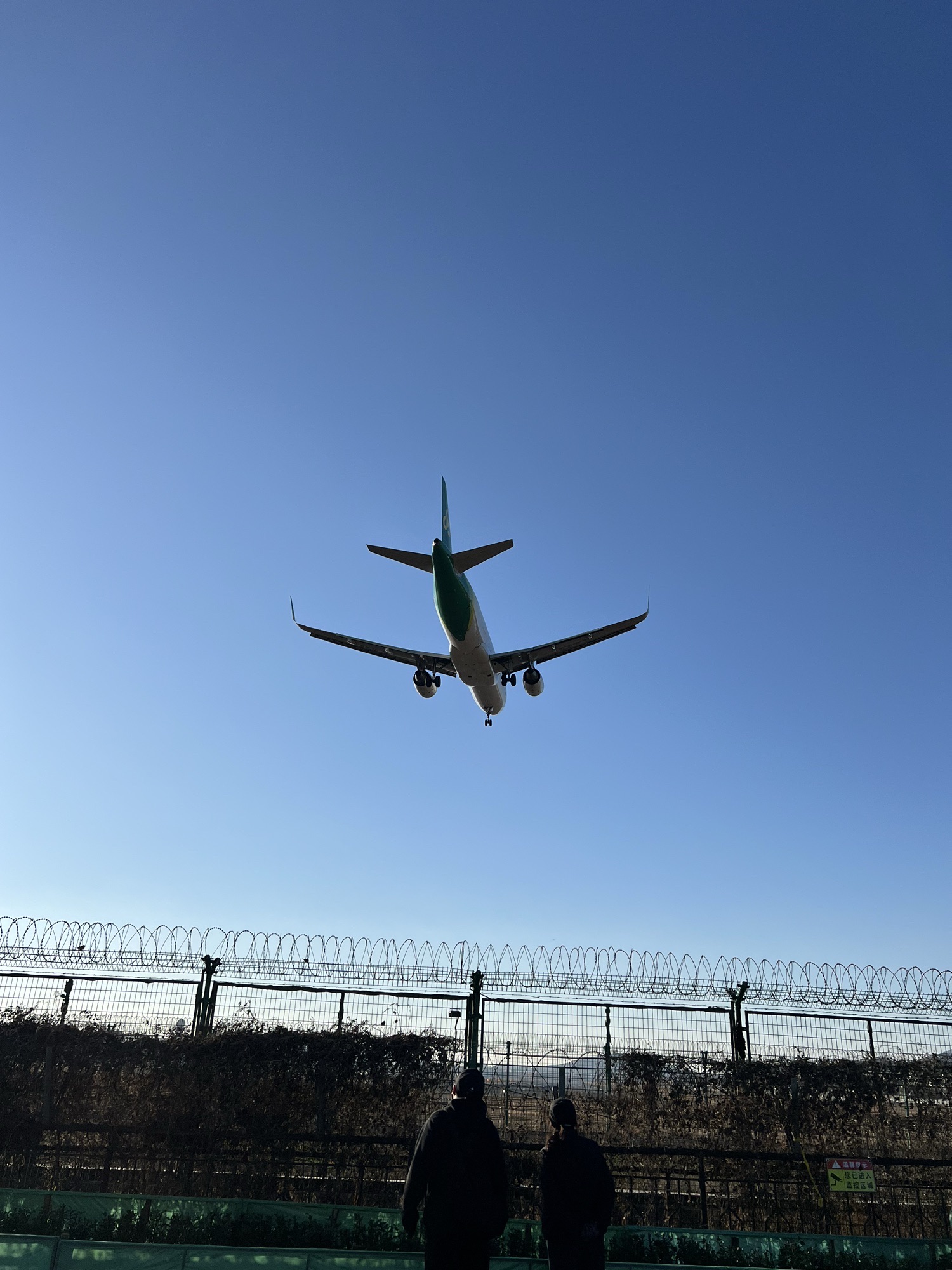 仰望公园旅行图片 2