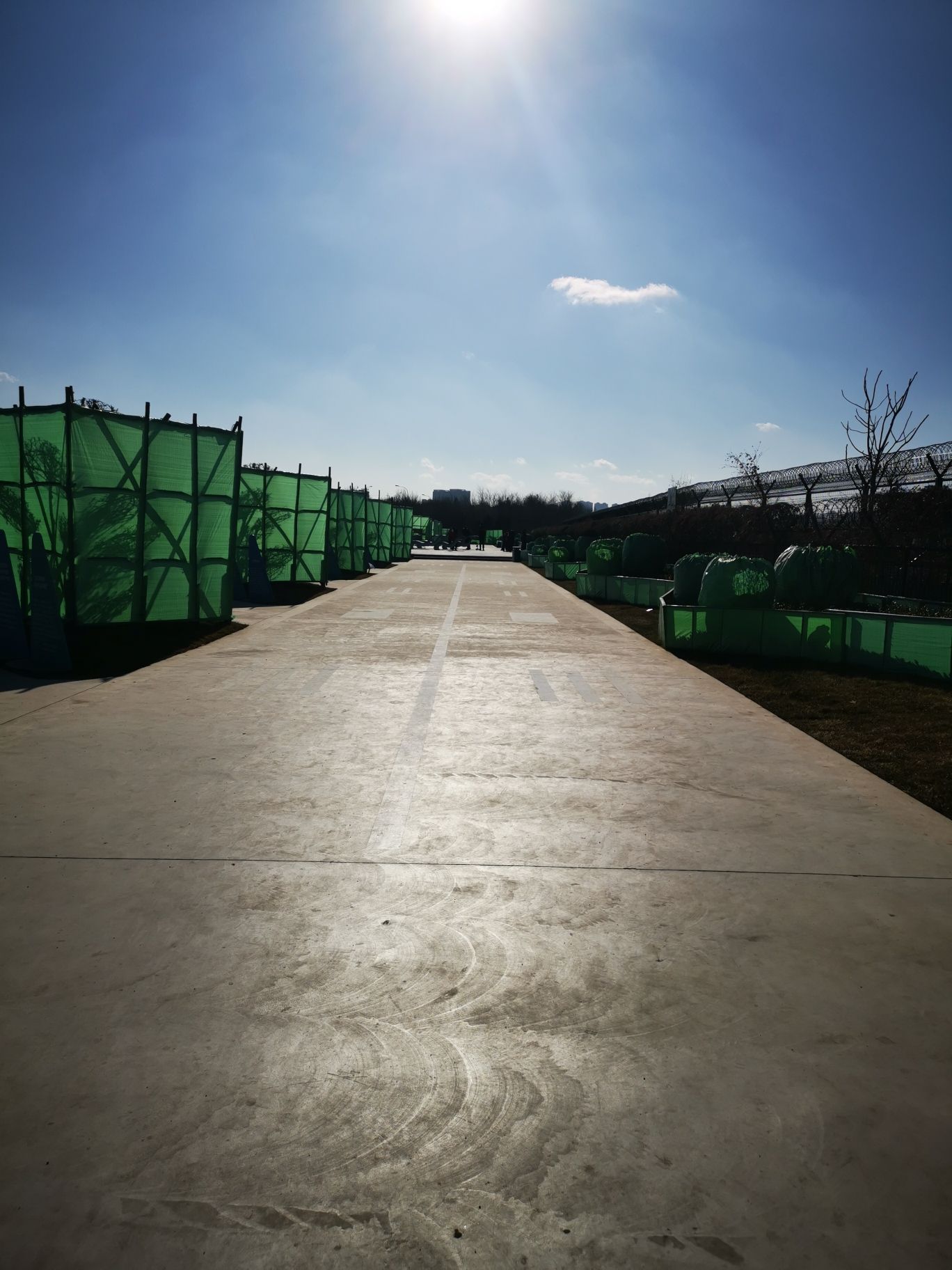 仰望公园旅行图片 1