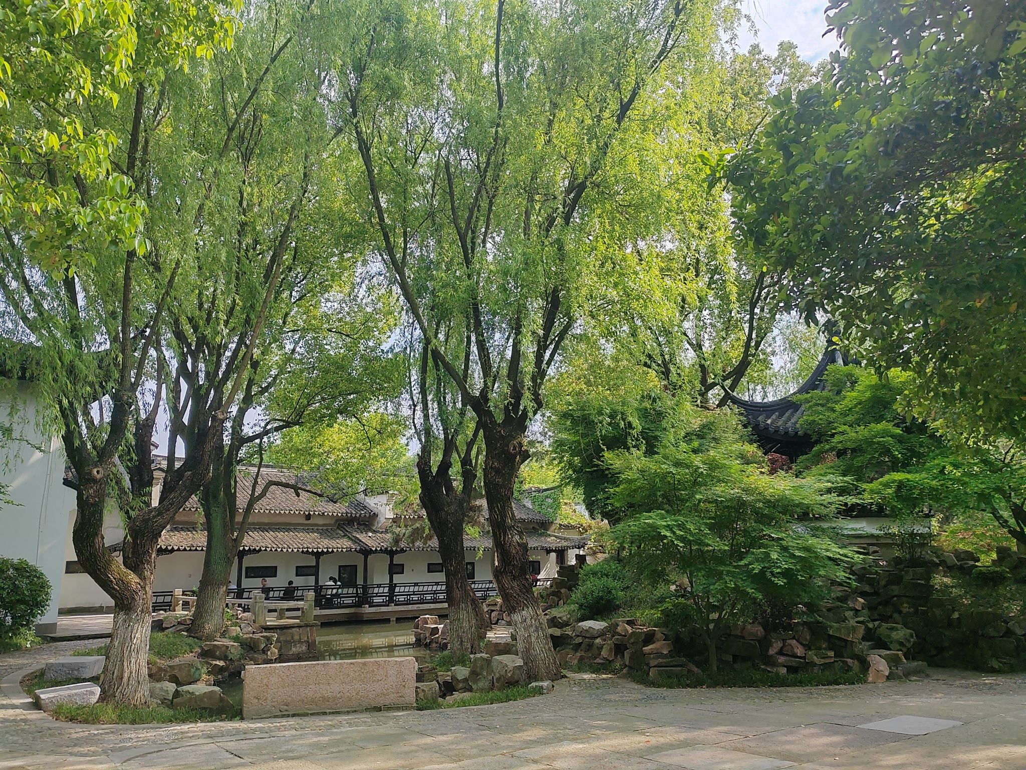 大隐山旅行图片 1