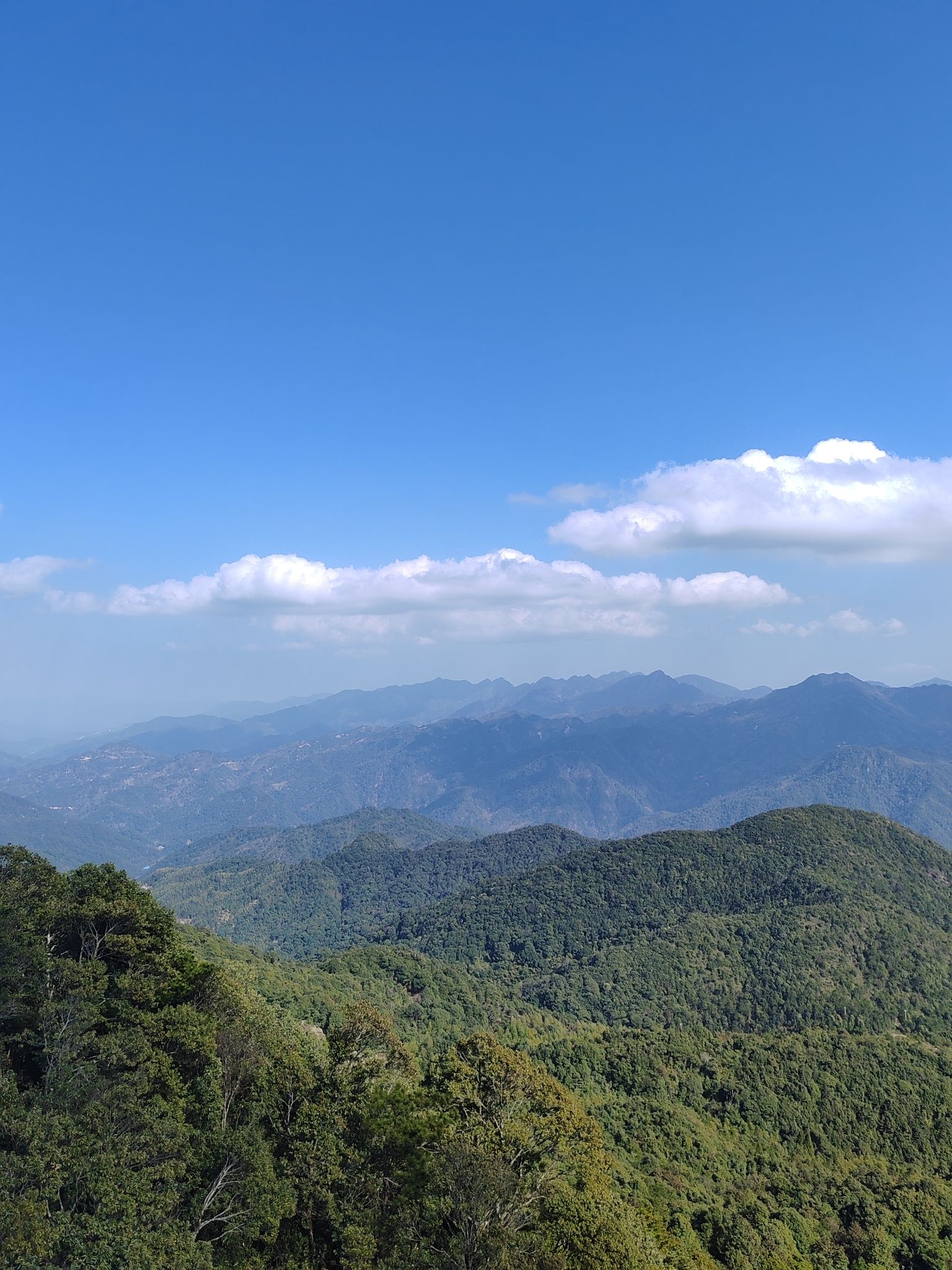 大隐山旅行图片 3