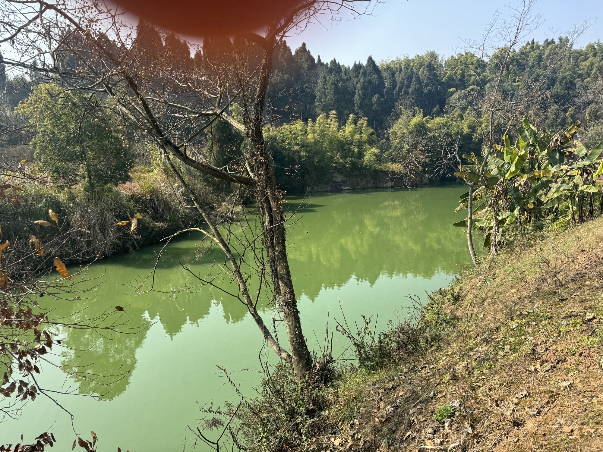 包谷湾湿地公园旅行图片 2