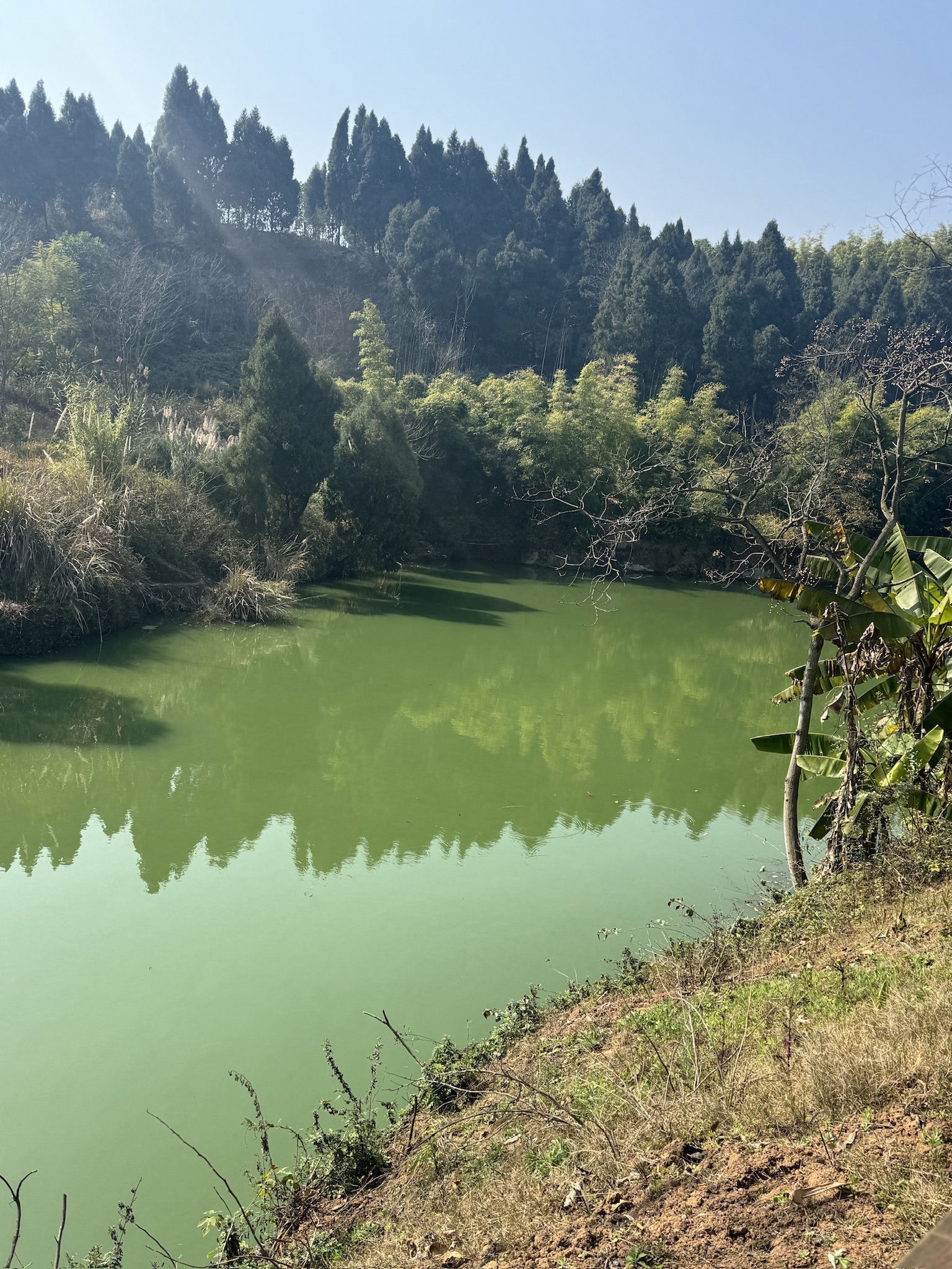 包谷湾湿地公园旅行图片 3