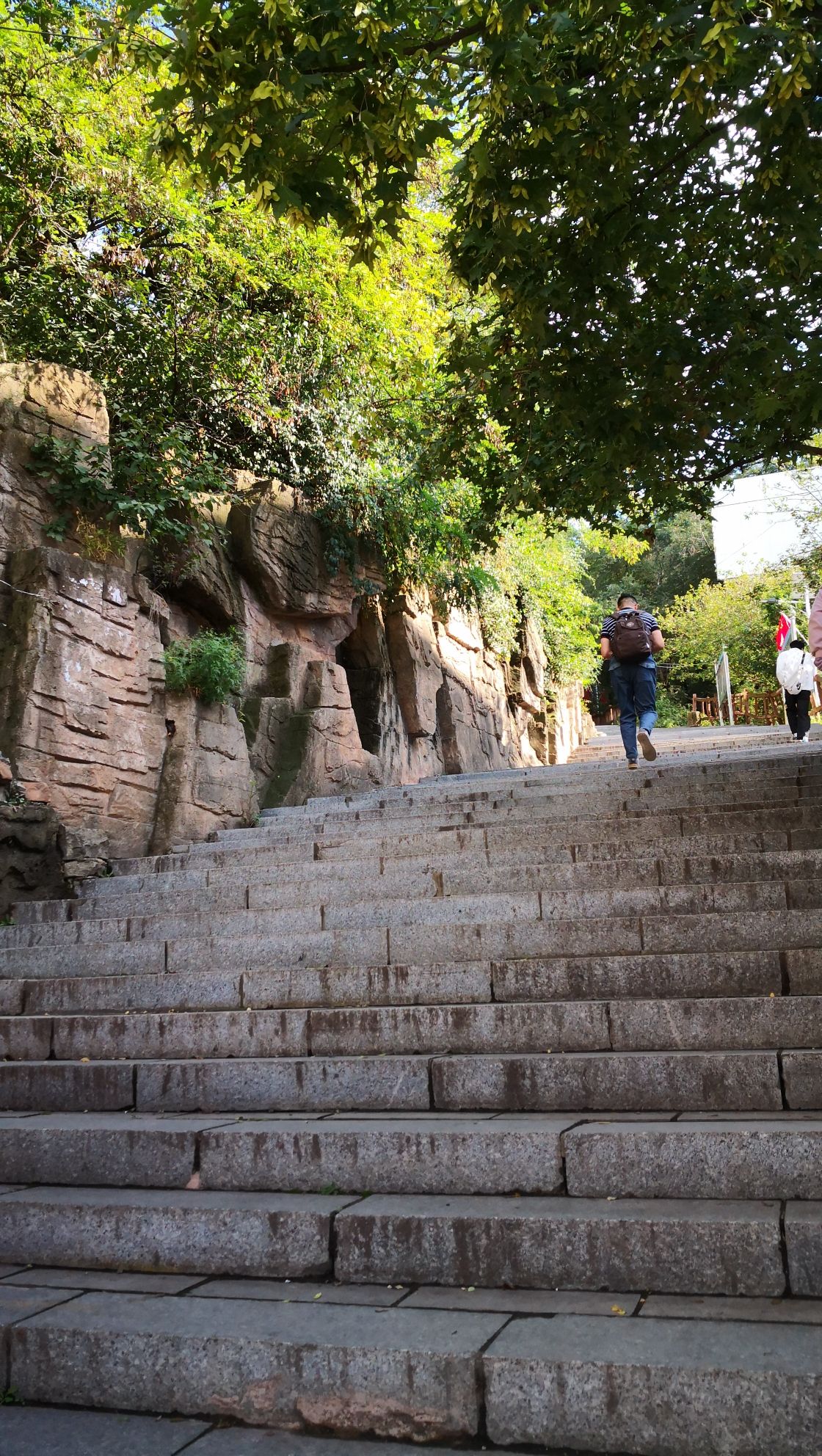 平顶山森林公园(西城口)旅行图片 3