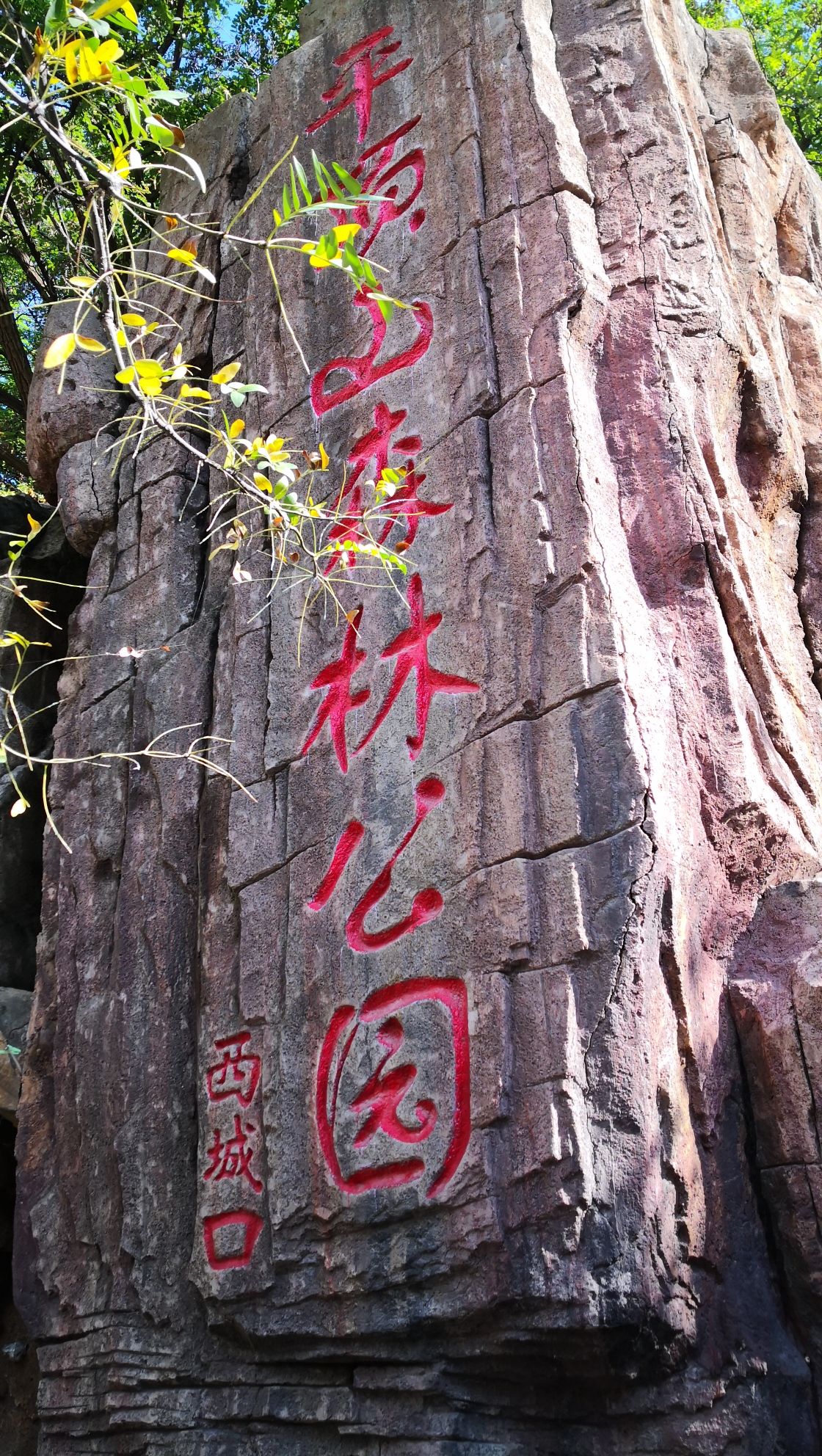 平顶山森林公园(西城口)旅行图片 2