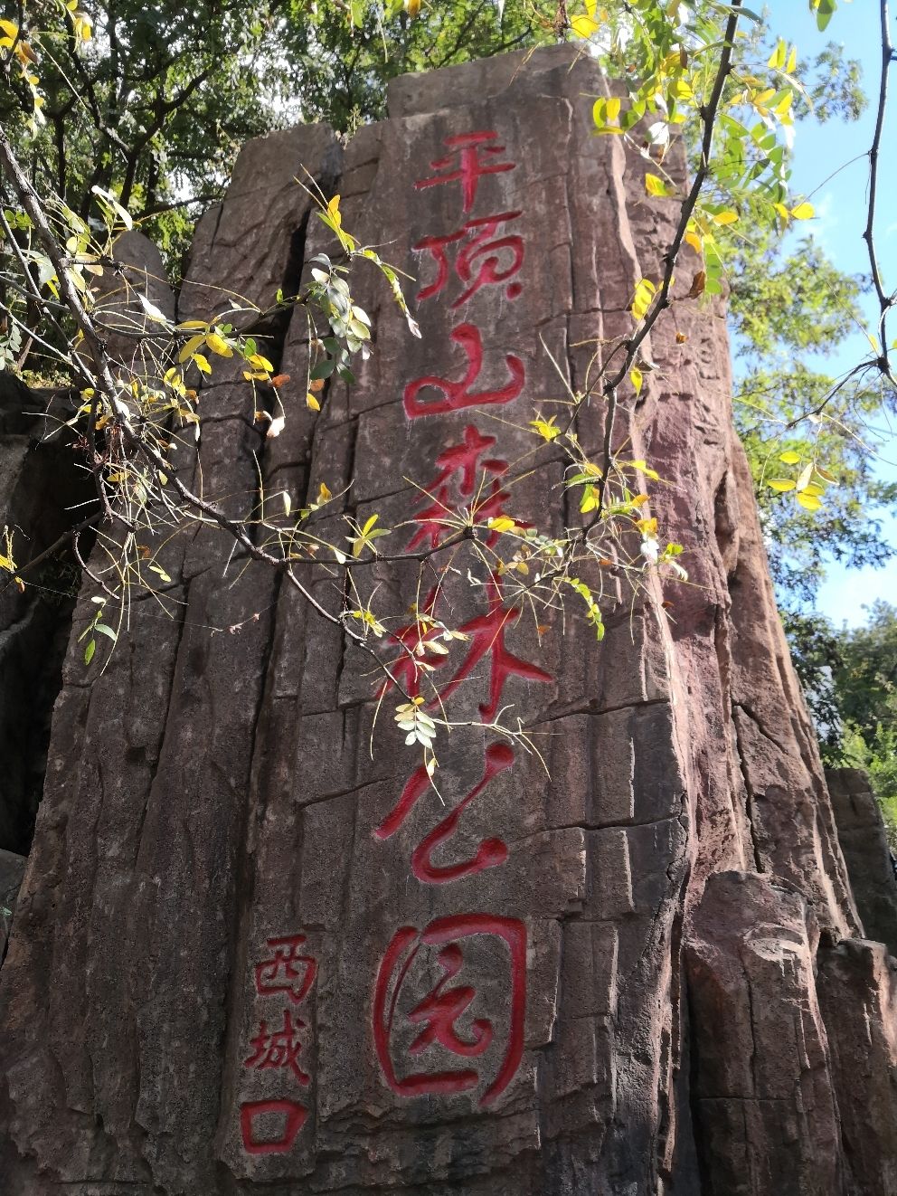 平顶山森林公园(西城口)旅行图片 1