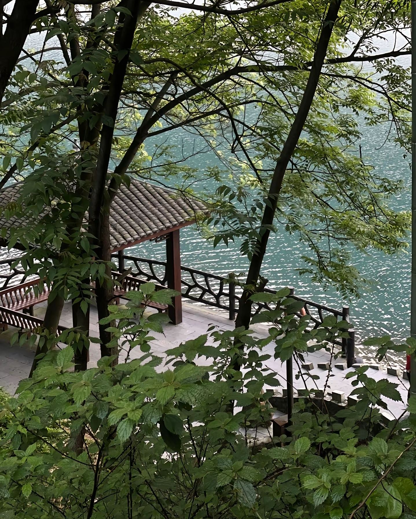 星陨阁旅行图片 2