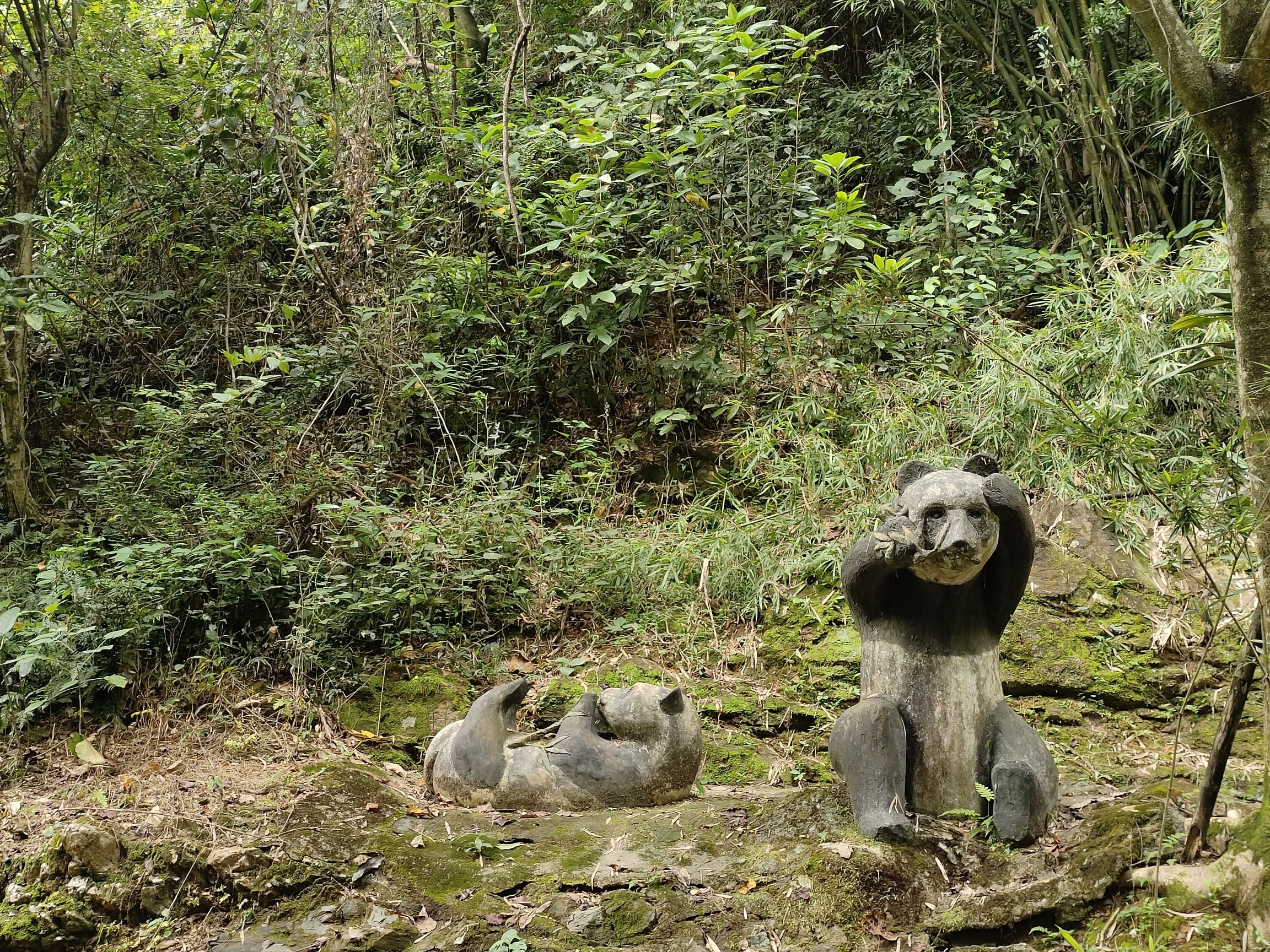 水坑山顶1号指示牌旅行图片 3