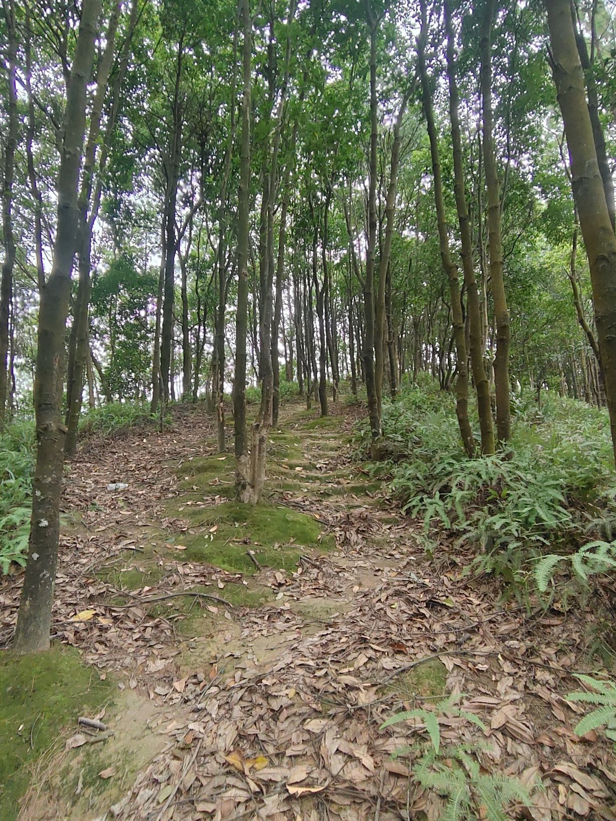 水坑山顶1号指示牌旅行图片 2