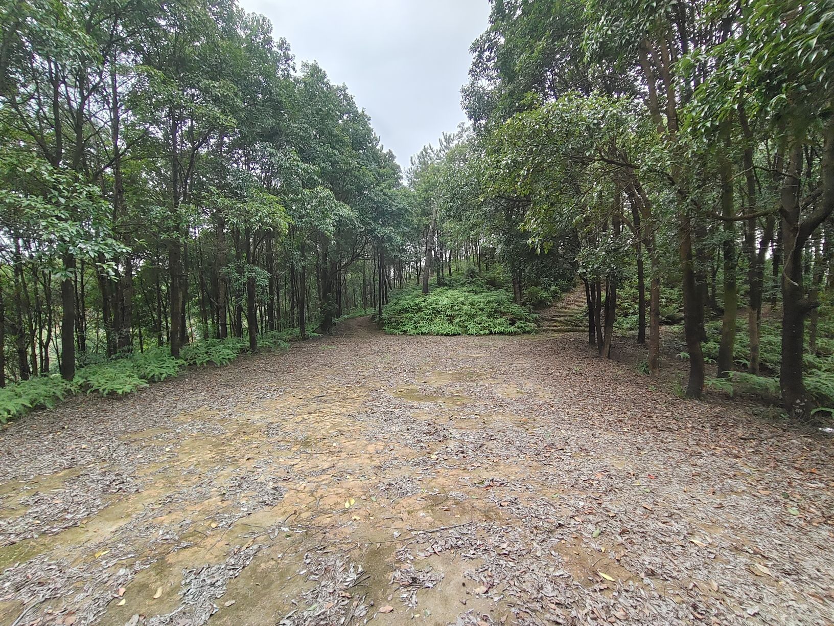 水坑山顶1号指示牌旅行图片 1