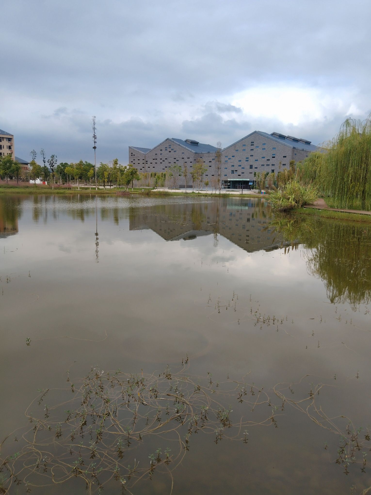 大白鹅的小房子旅行图片 1
