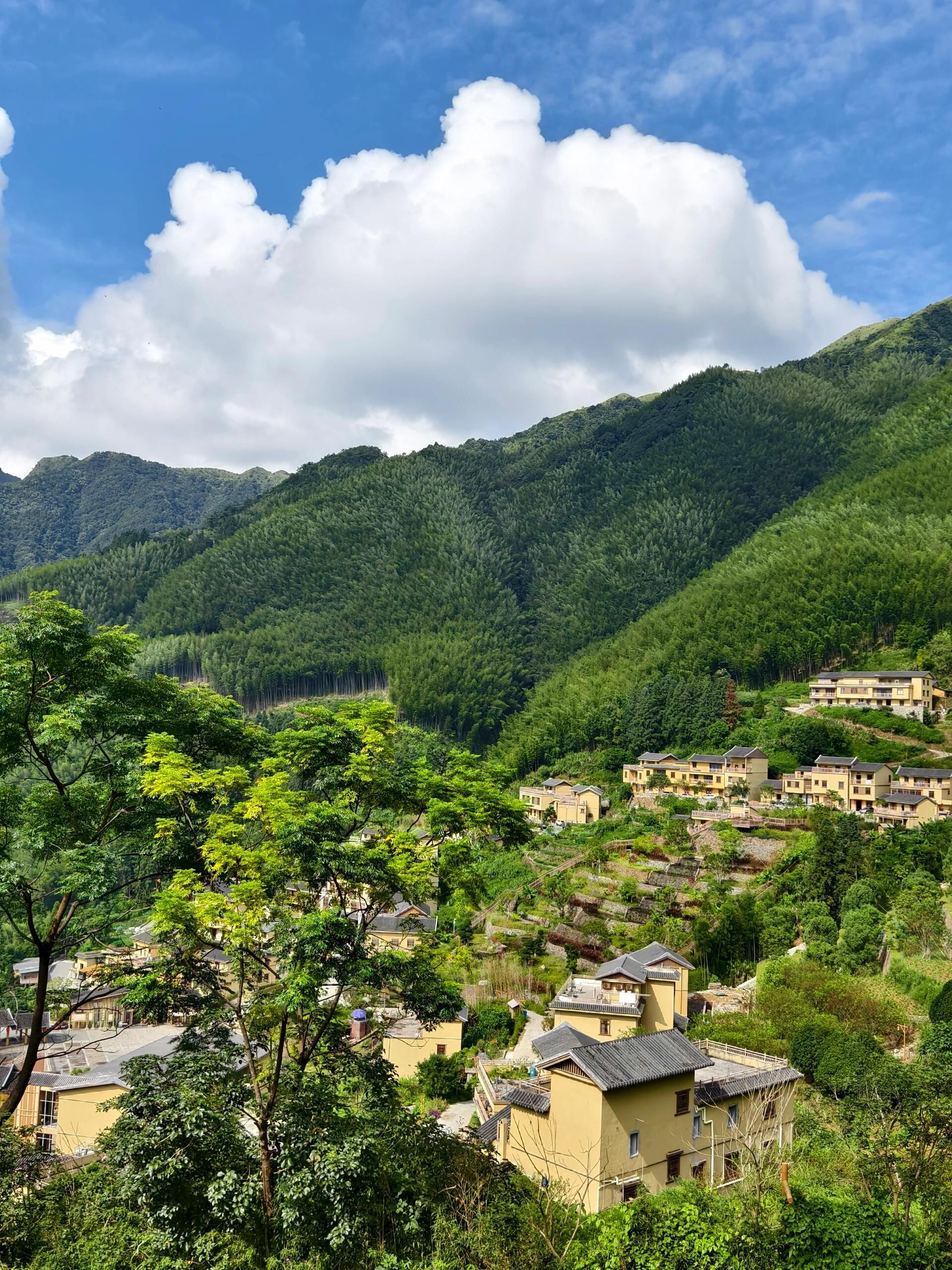 马安竹海旅游度假区旅行图片 2