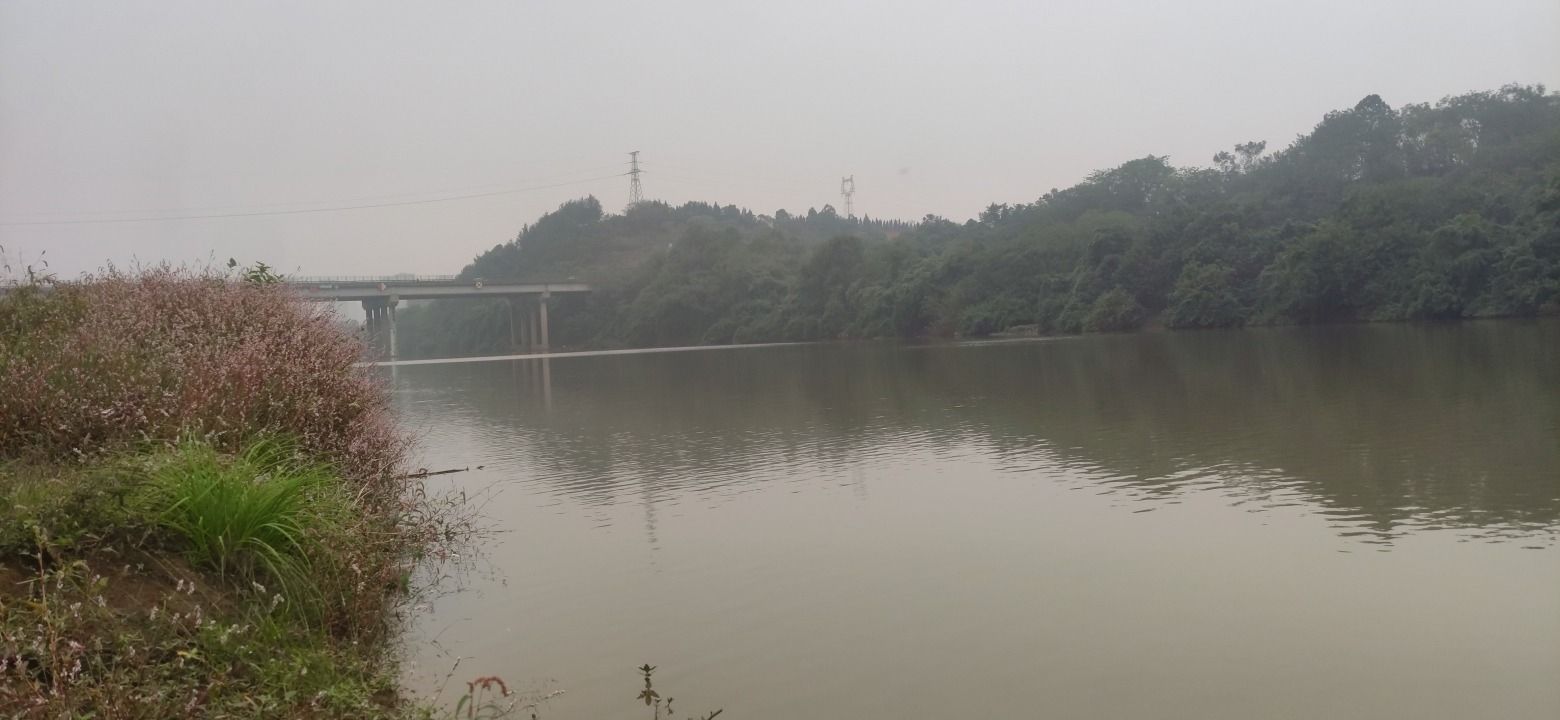 河畔学生休闲区旅行图片 2