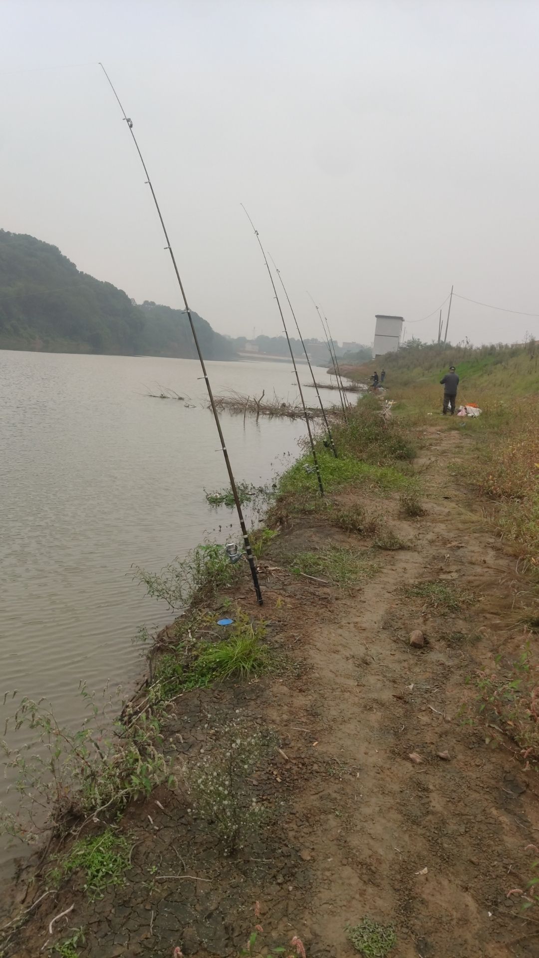 河畔学生休闲区旅行图片 3